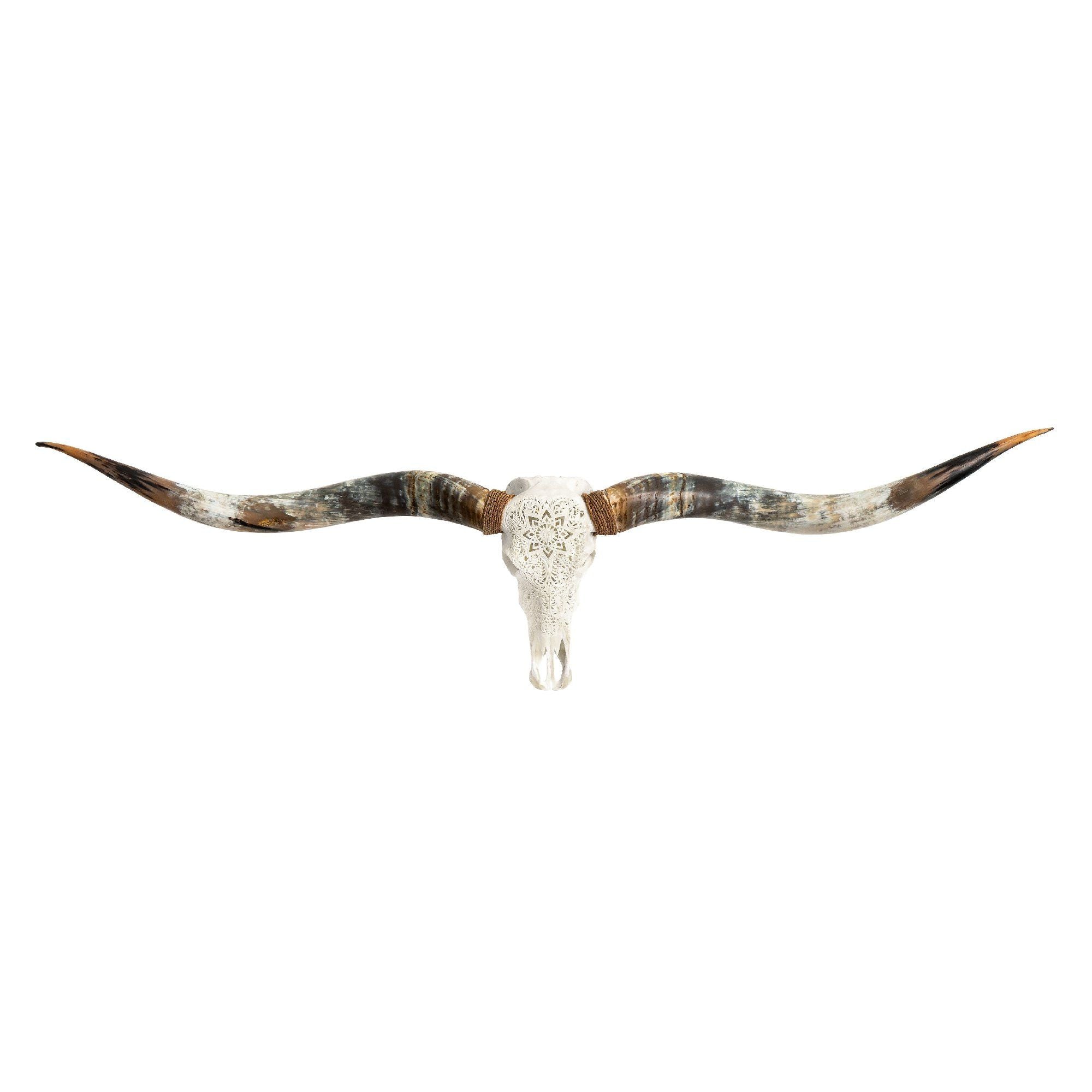 Hand Carved Longhorn Skull // XL Horns - White Mandala