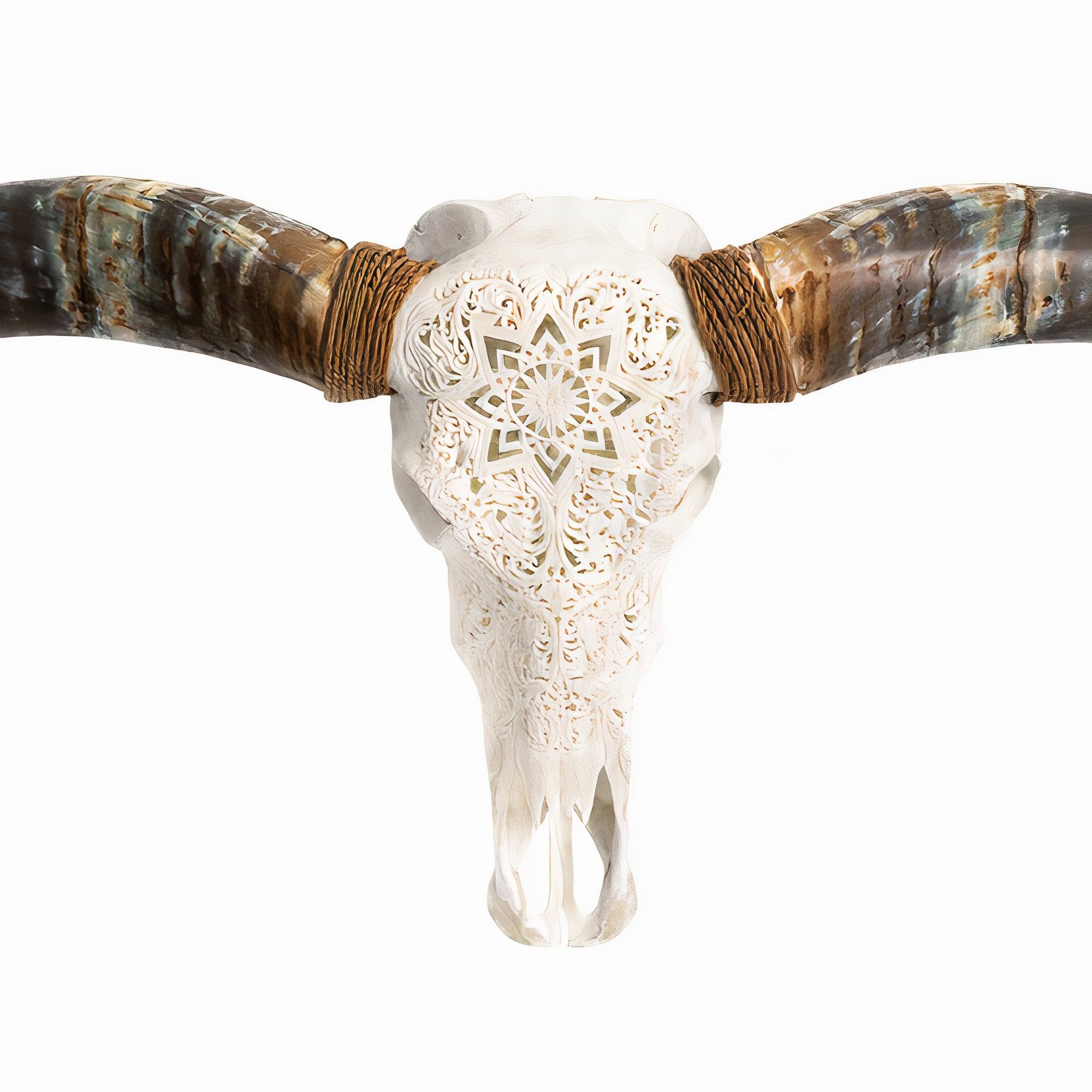 Hand Carved Longhorn Skull // XL Horns - White Mandala