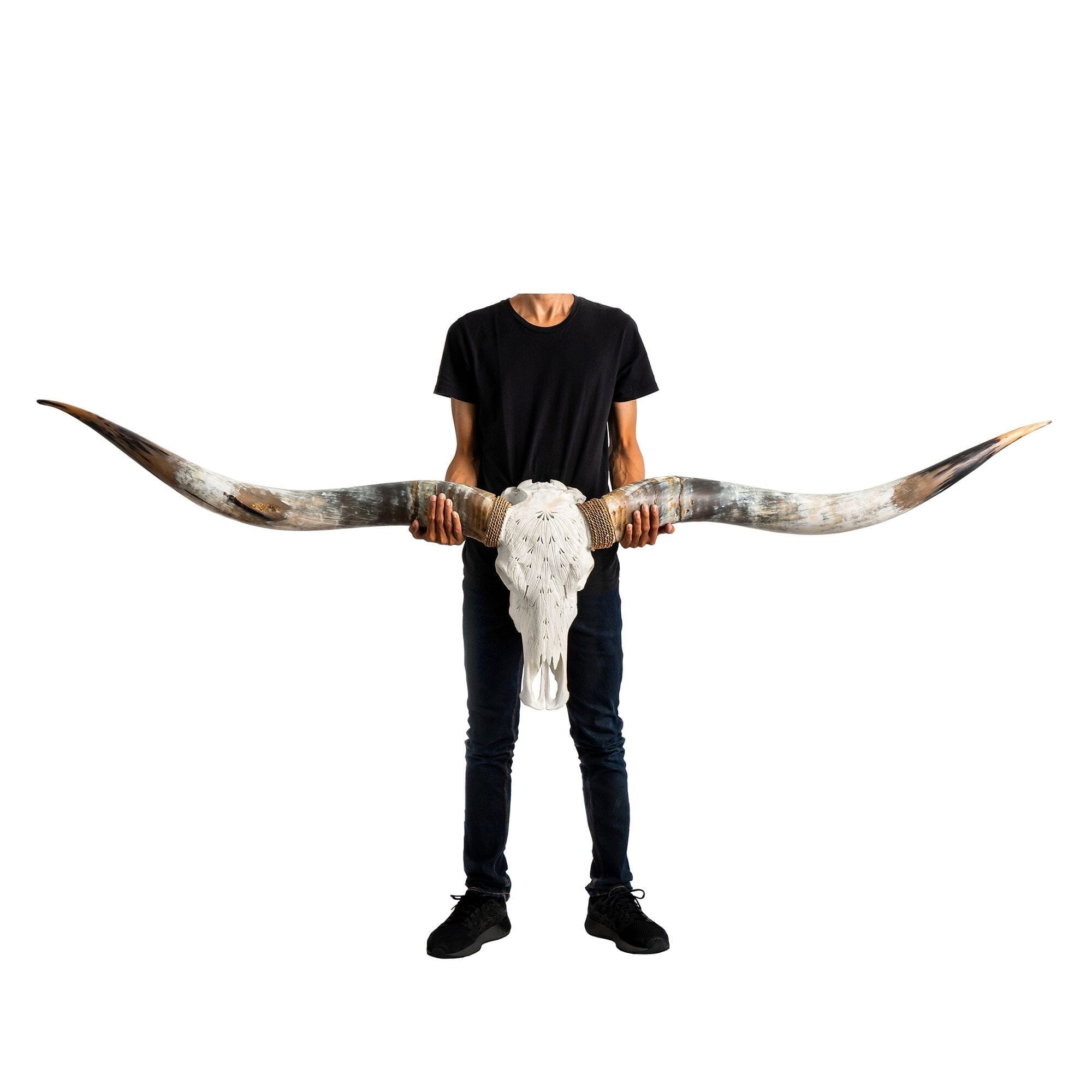 Hand Carved Longhorn Skull // XL Horns - White Feathers