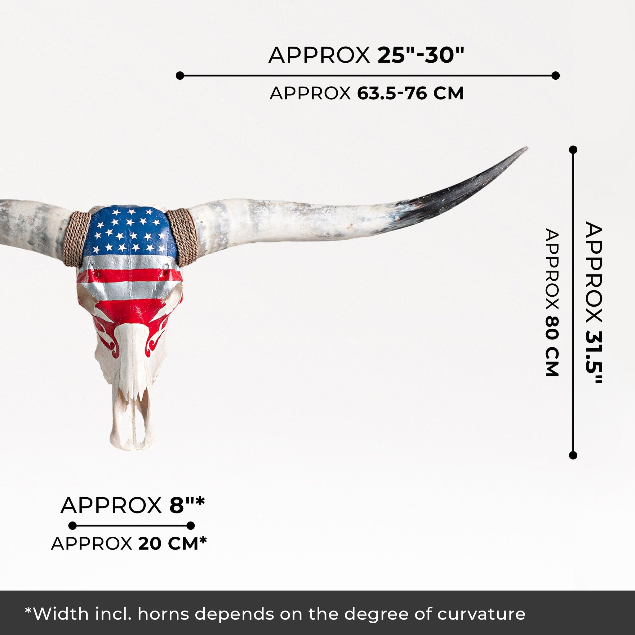 Hand Painted Longhorn Skull  - Stars & Stripes