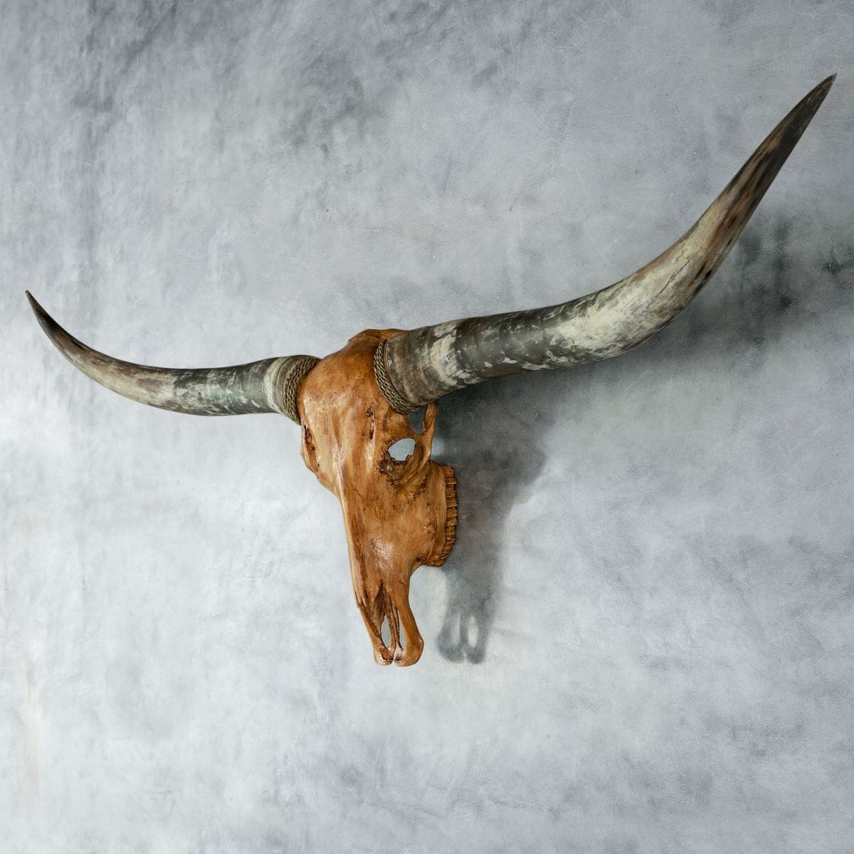 Longhorn Skull - Antique Storm