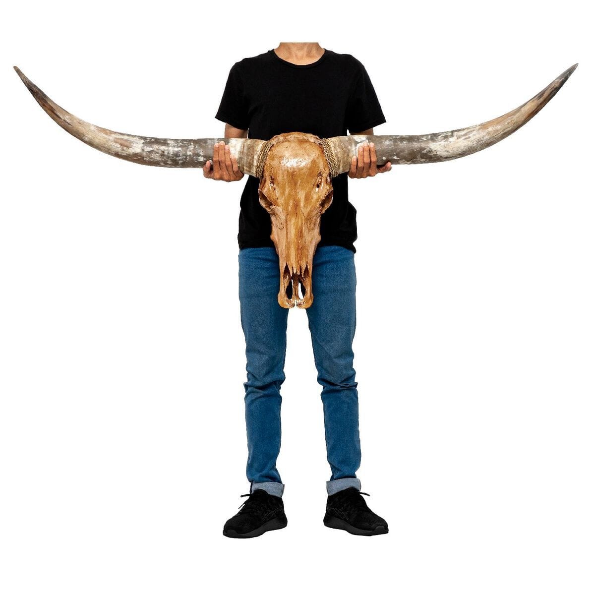 Longhorn Skull - Antique Storm