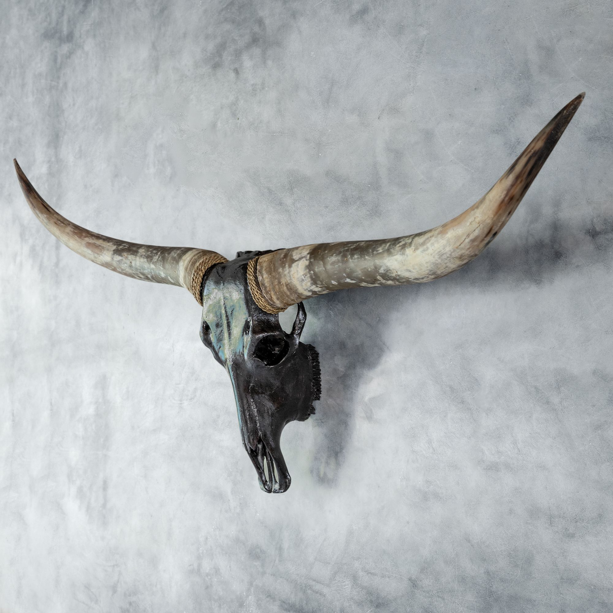 Longhorn Skull - Black Storm