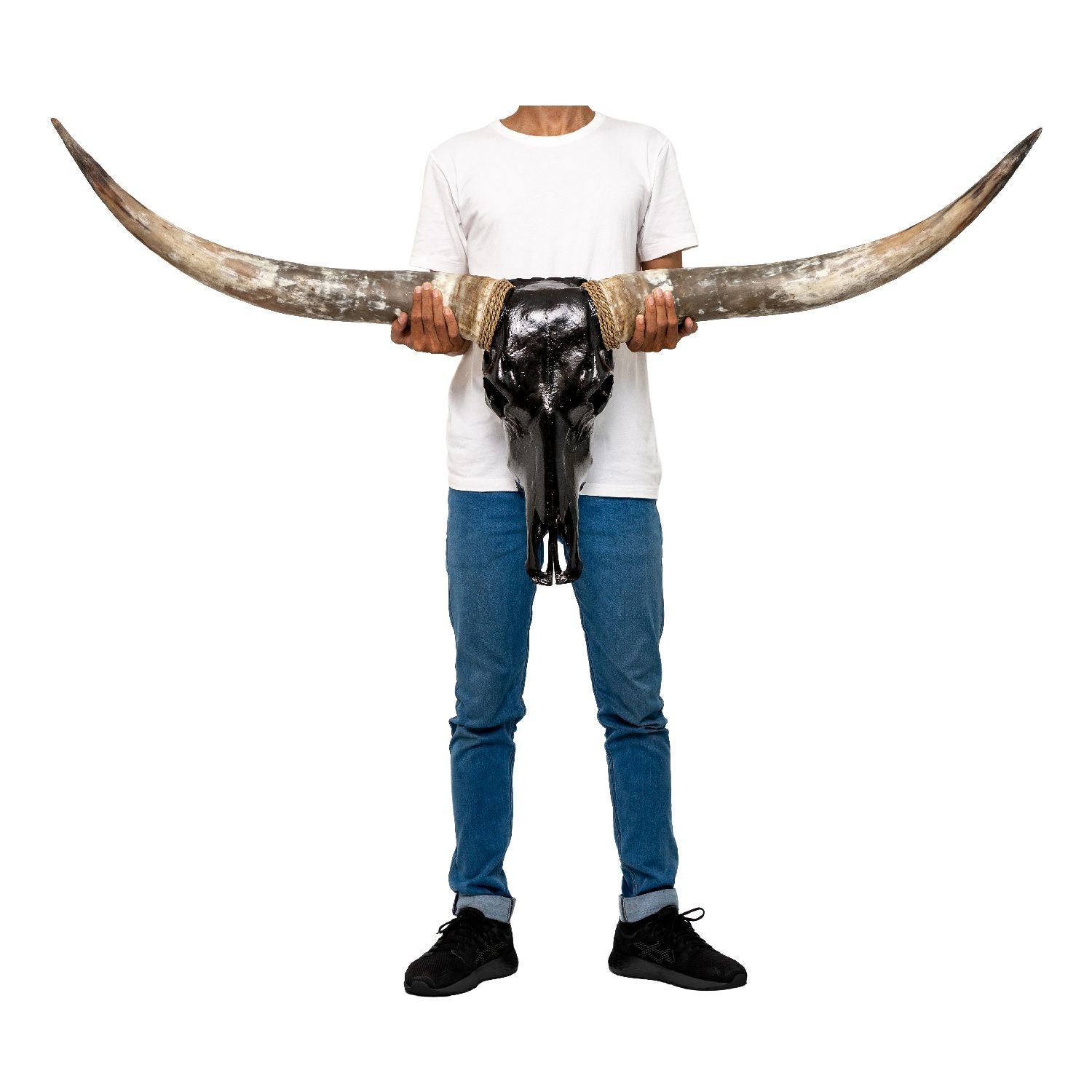 Longhorn Skull - Black Storm