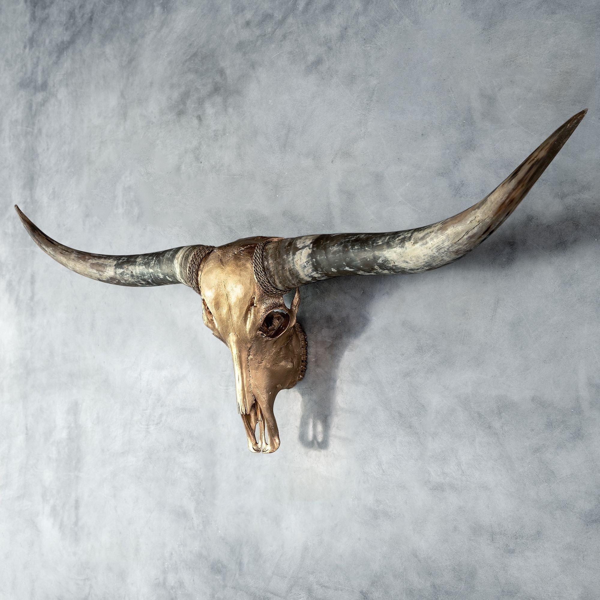 Longhorn Skull - Golden Storm