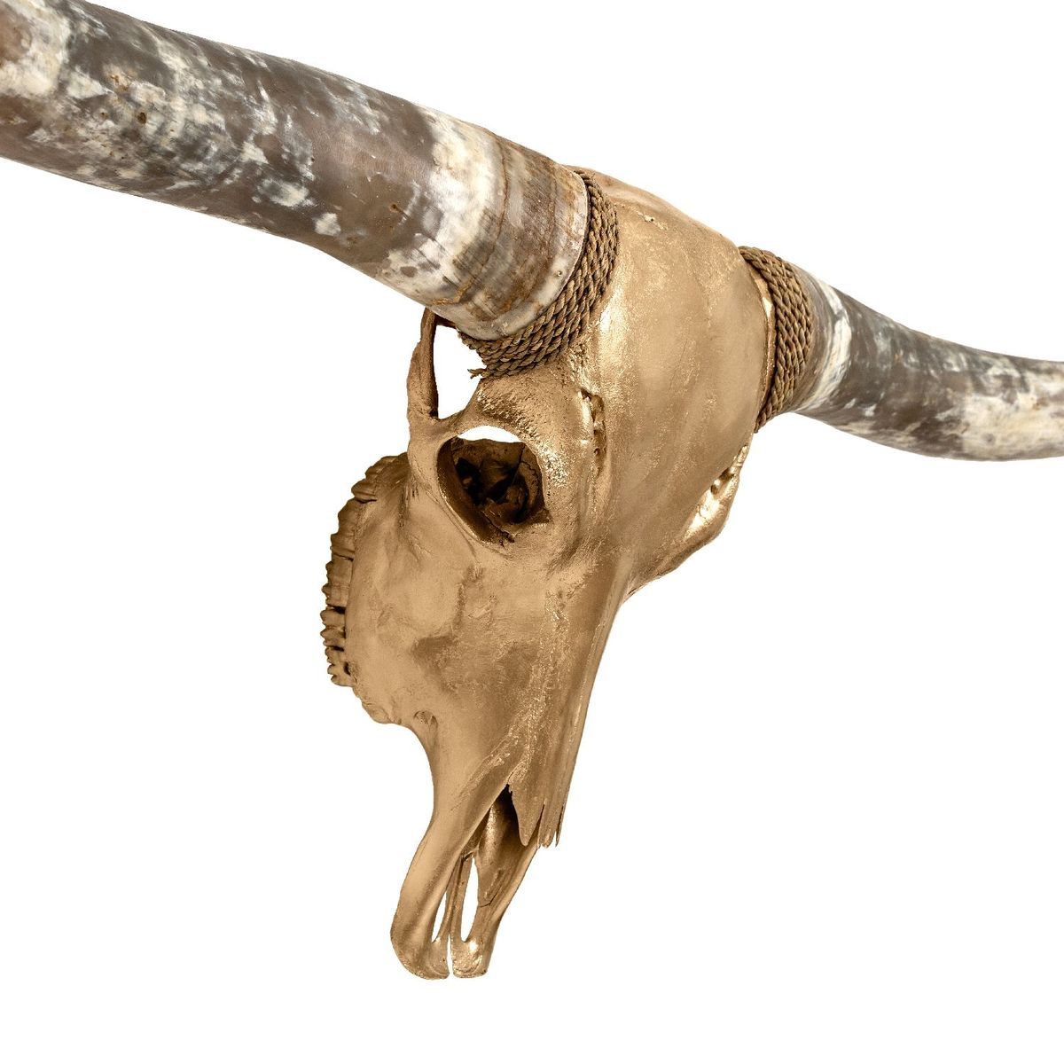 Longhorn Skull - Golden Storm