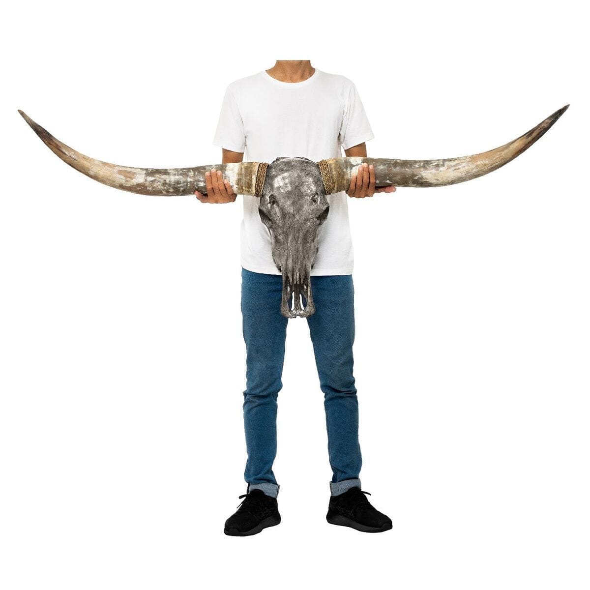 Longhorn Skull - Gray Storm
