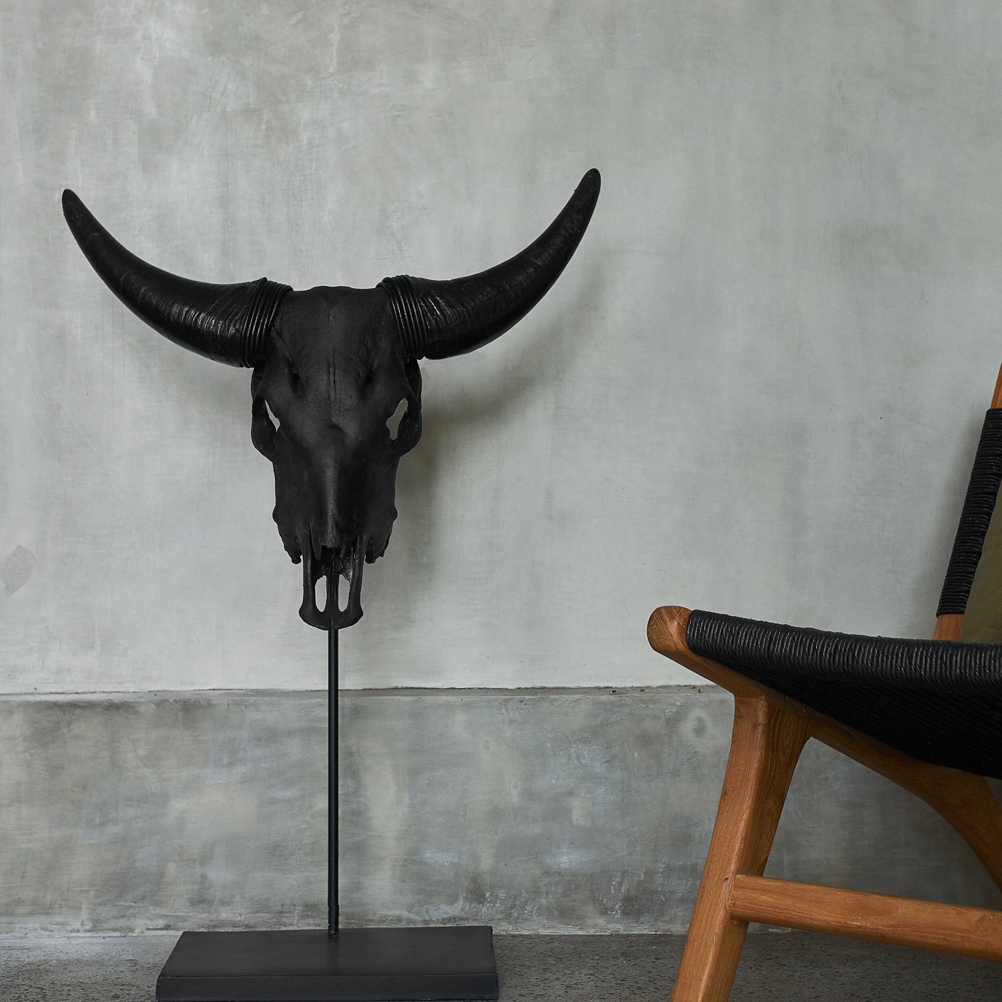 Cow Skull - Matte Black Storm