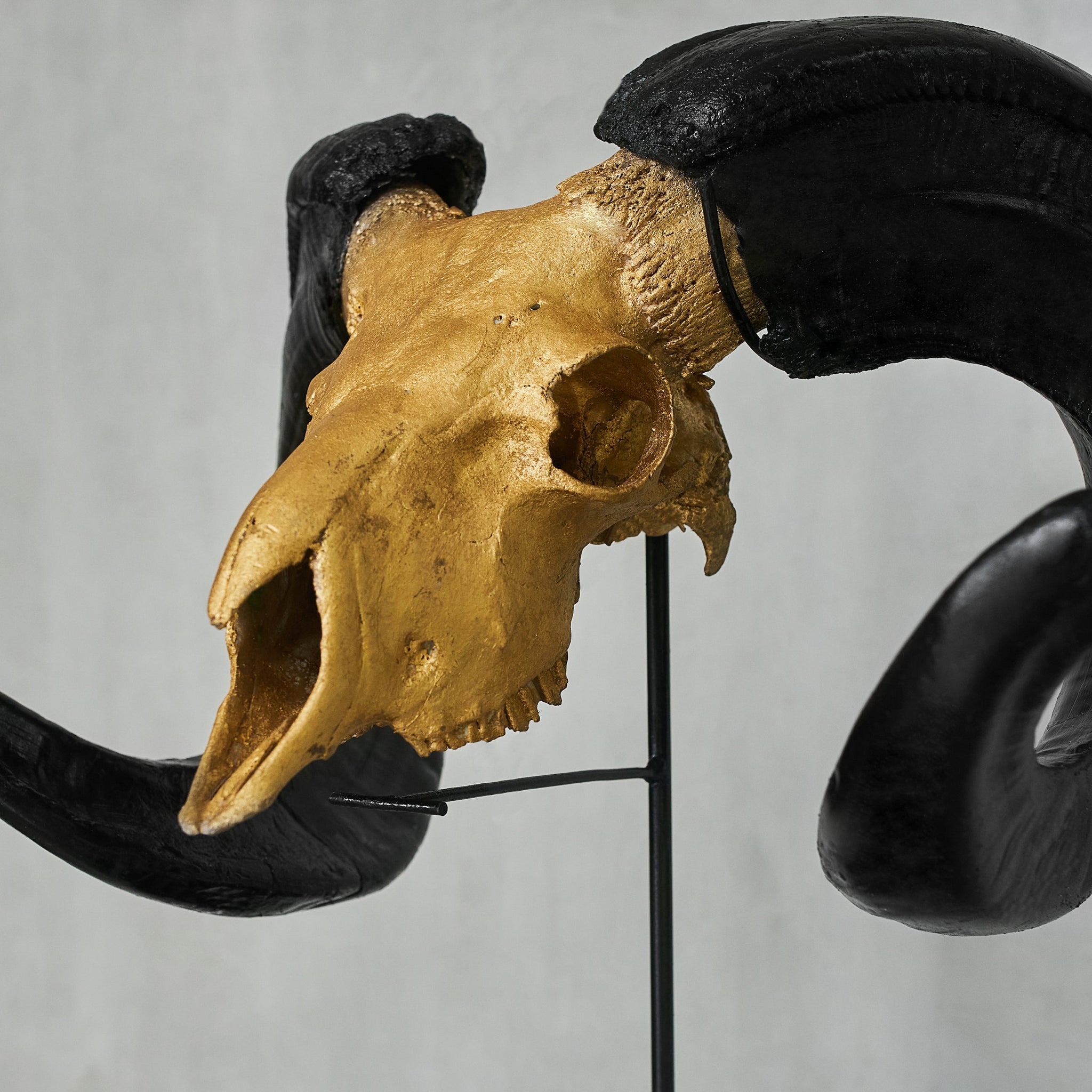 Ram Skull - Gold Leaf Storm