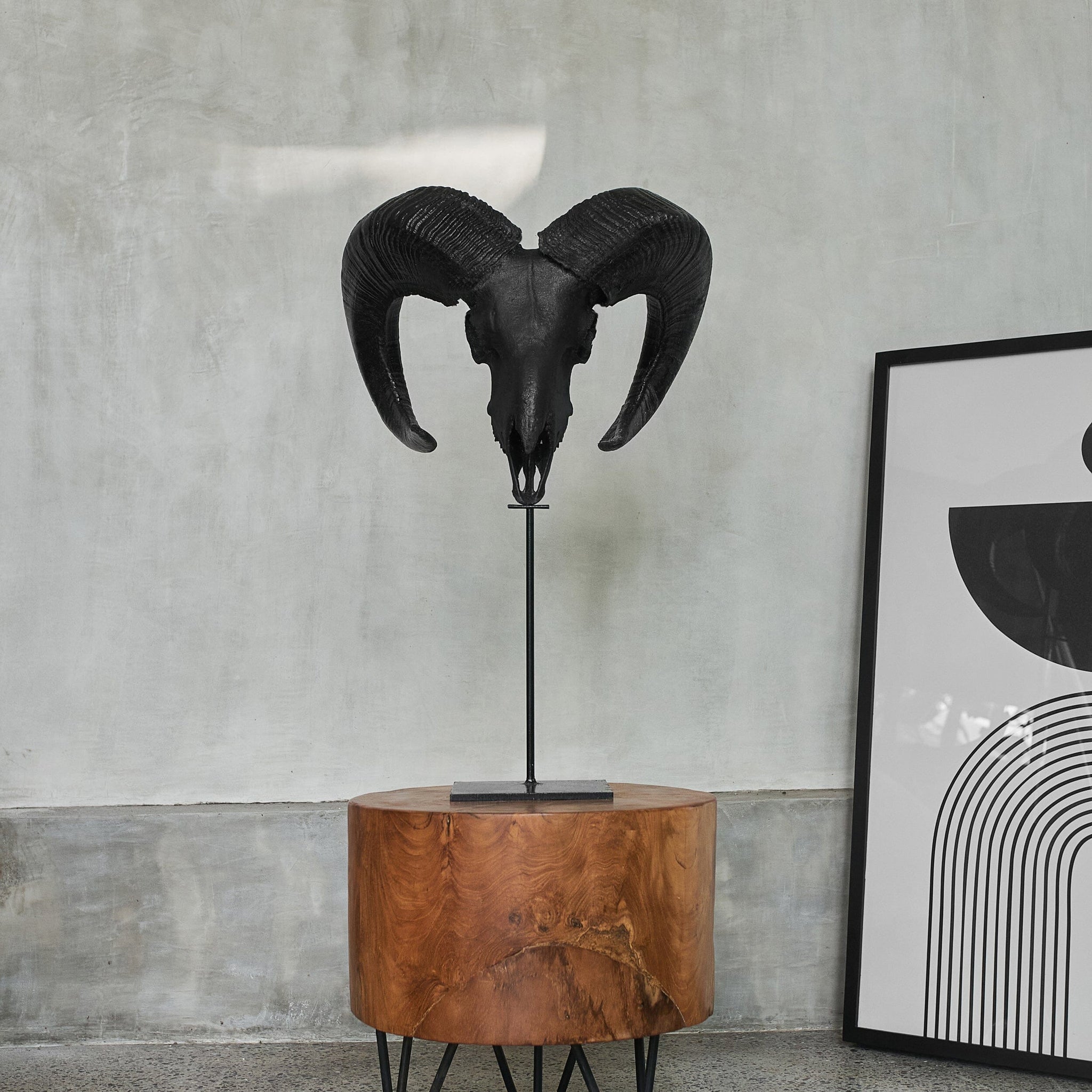 Ram Skull - Matte Black Storm