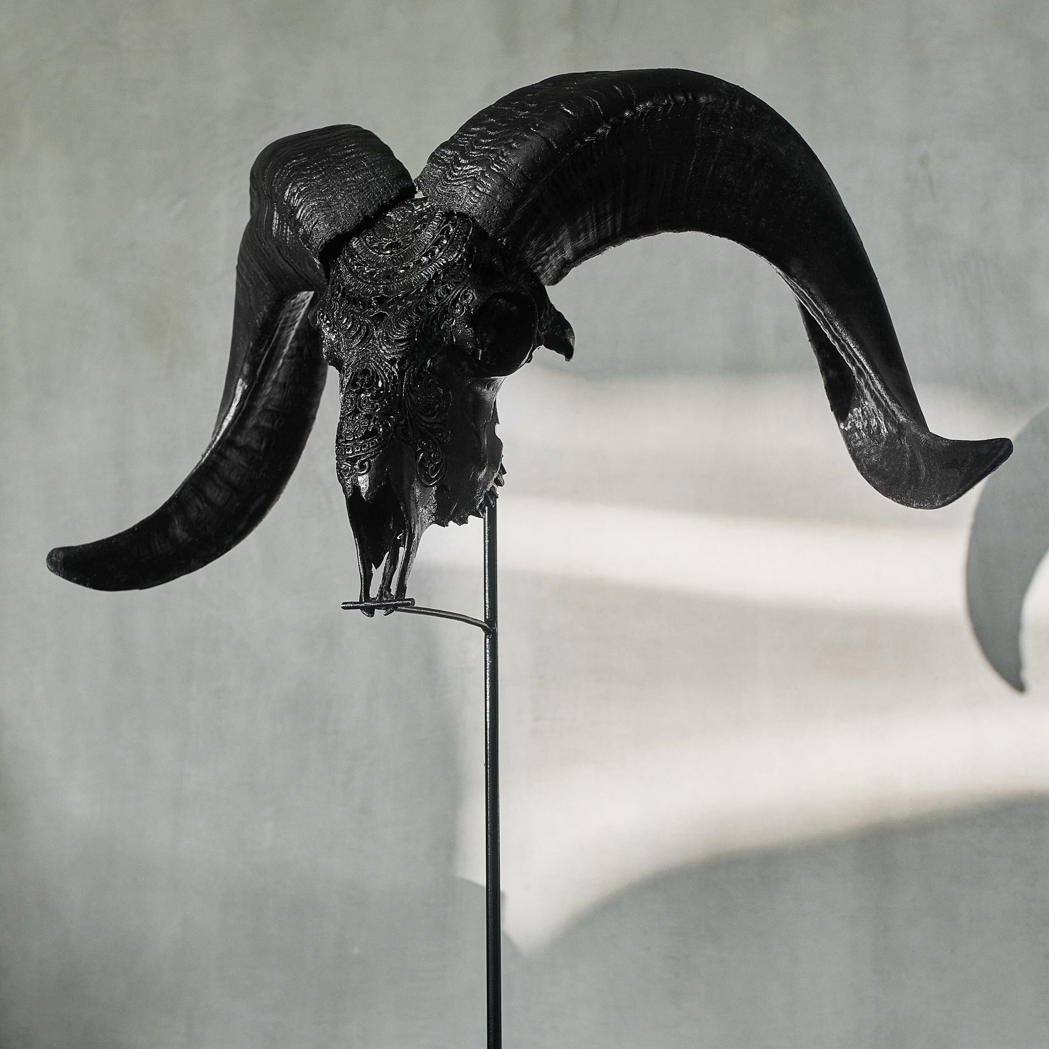 Hand Carved Ram Skull - Matte Black Boho