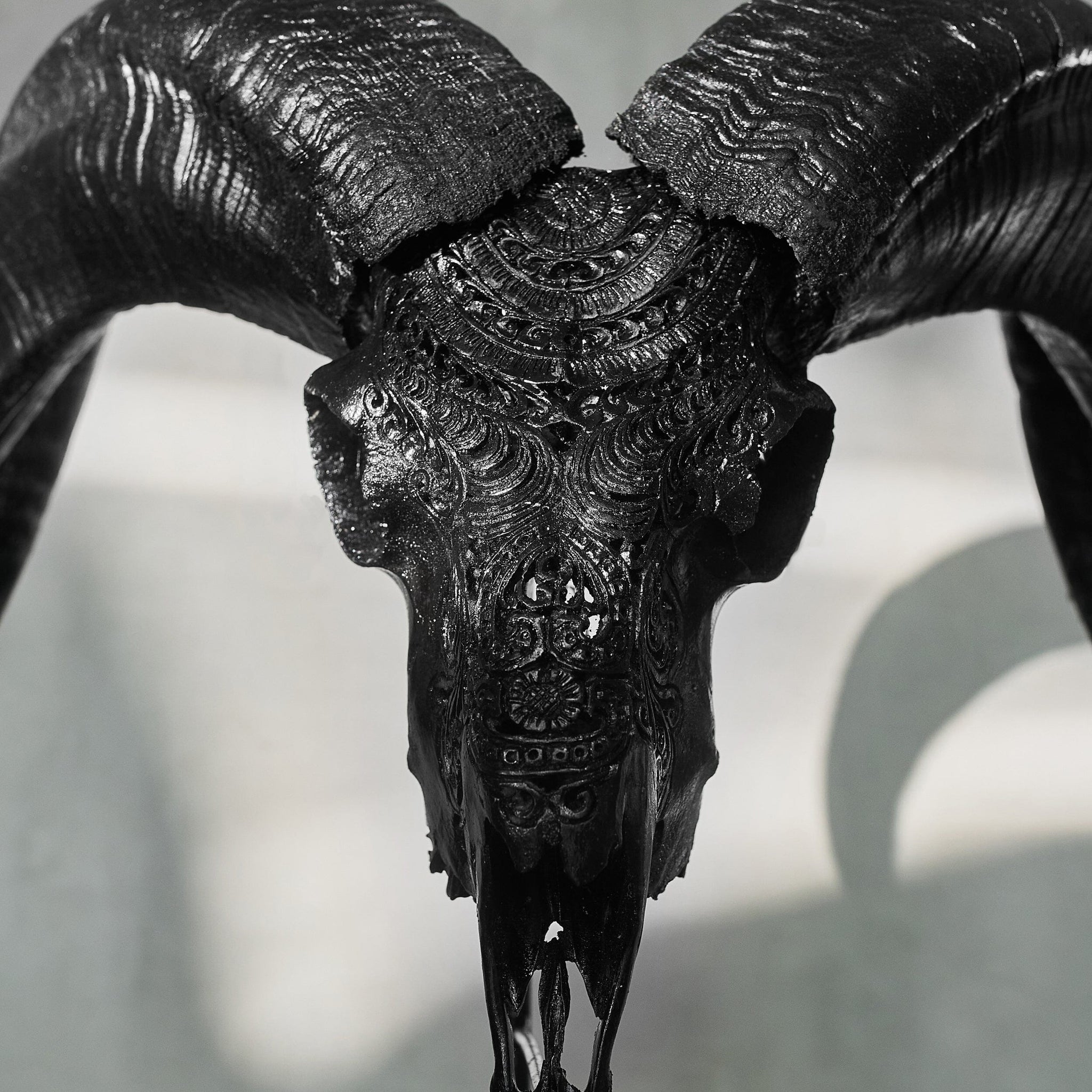 Hand Carved Ram Skull - Matte Black Boho