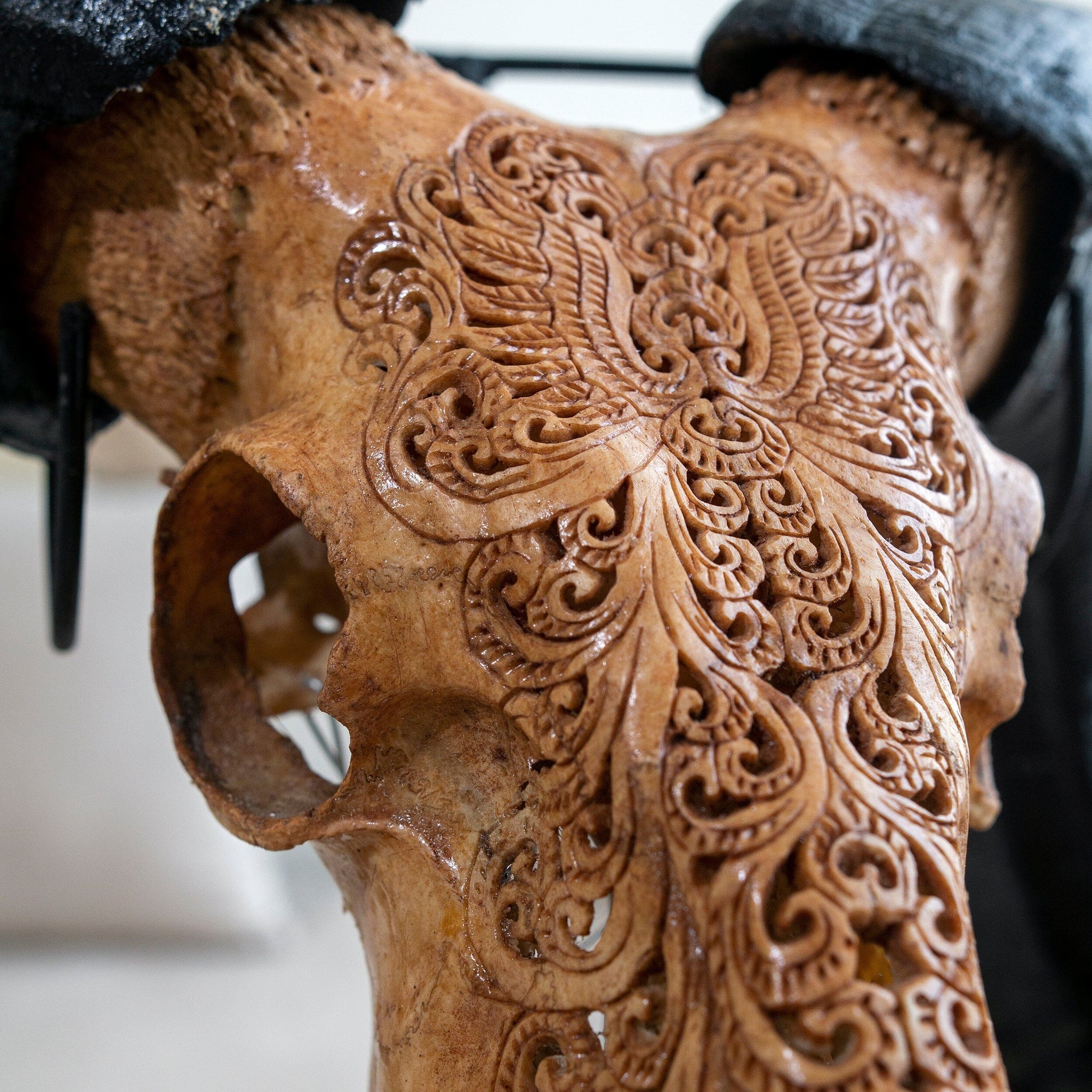 Hand Carved Ram Skull - Antique Phoenix