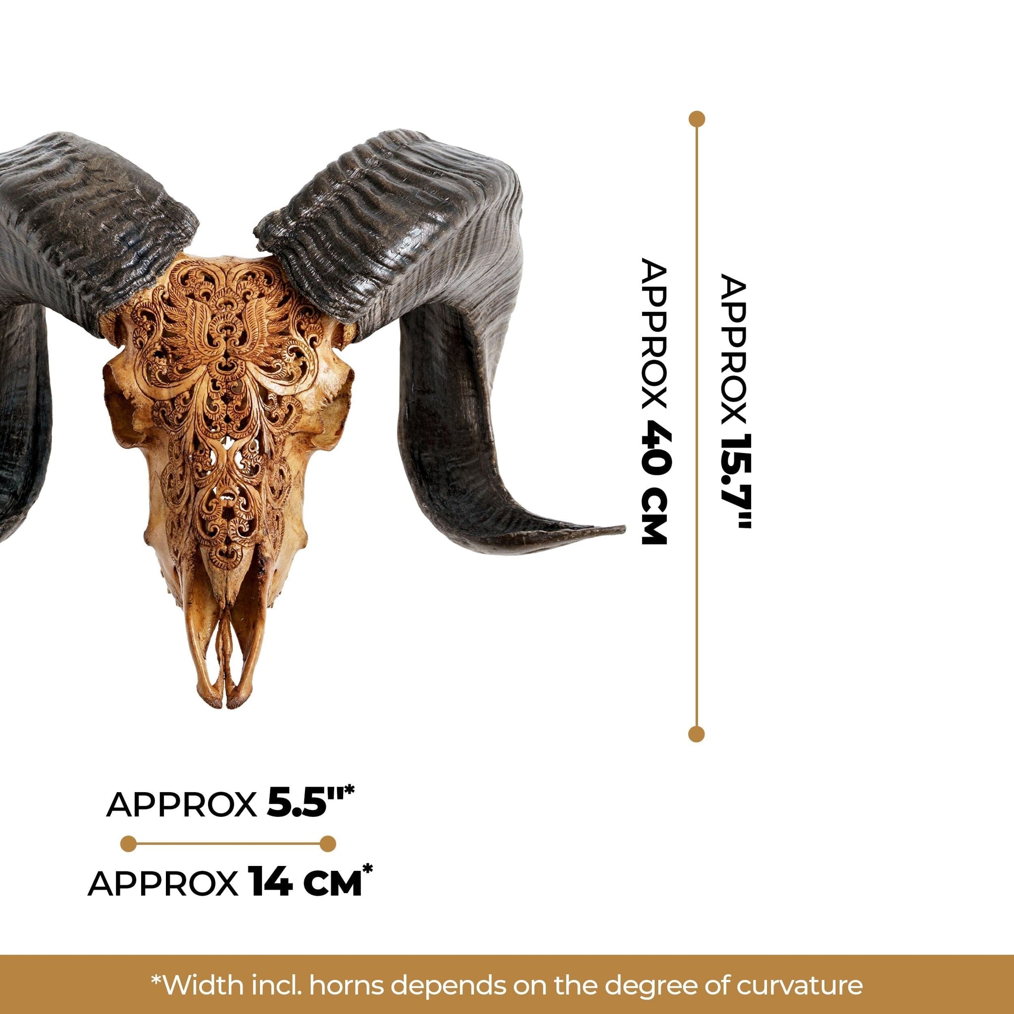 Hand Carved Ram Skull - Antique Phoenix