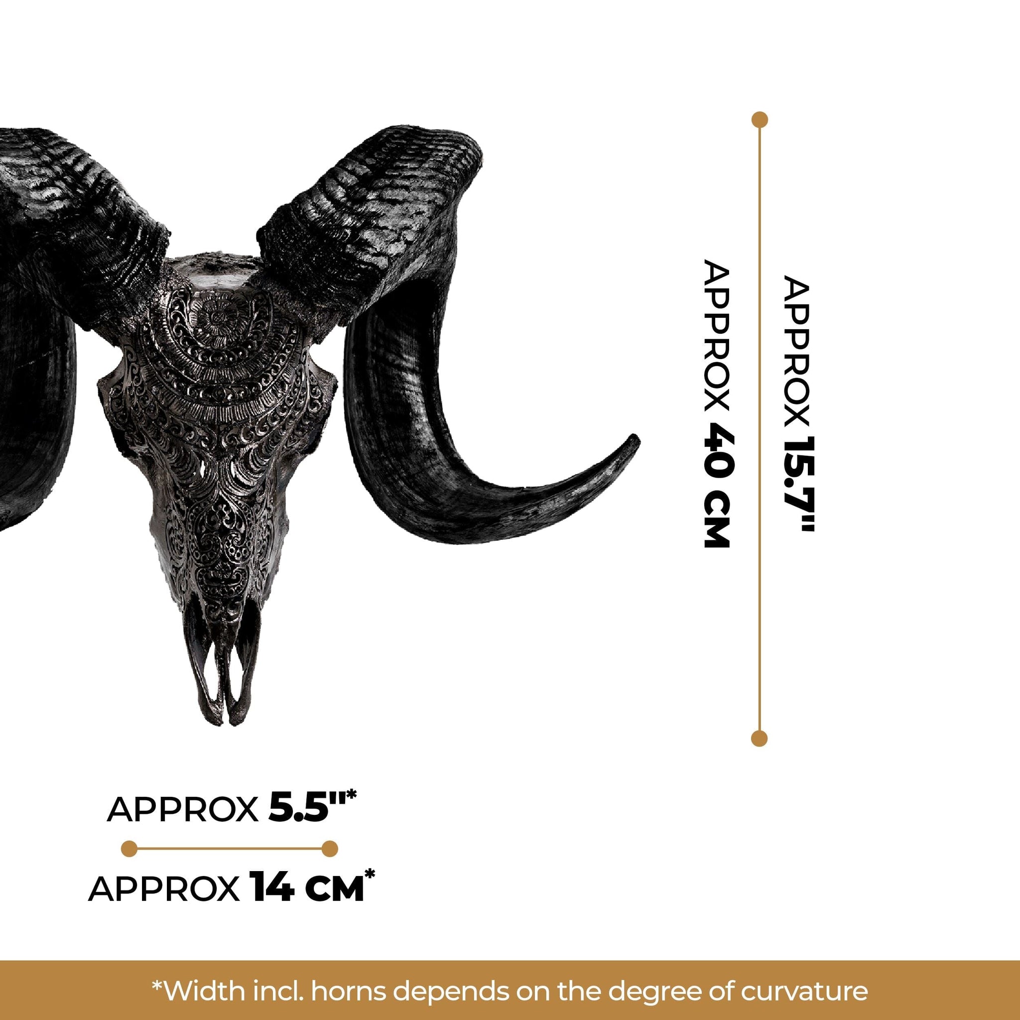 Hand Carved Ram Skull - Black Boho