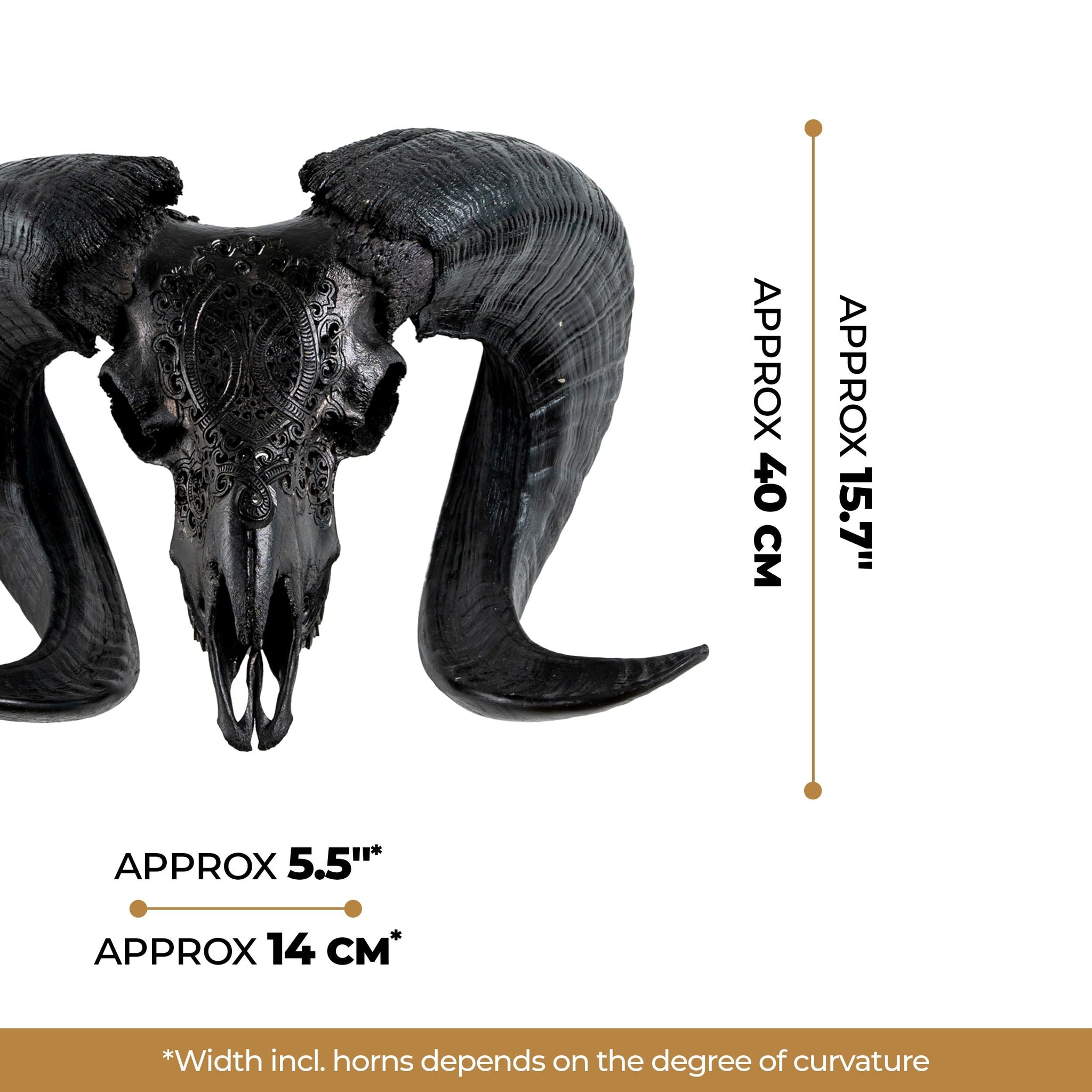 Hand Carved Ram Skull - Black Phantom