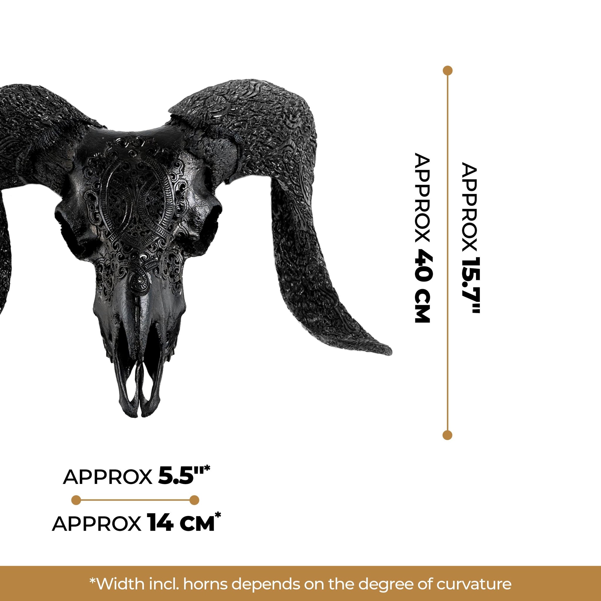 Hand Carved Ram Skull - Black Phantom