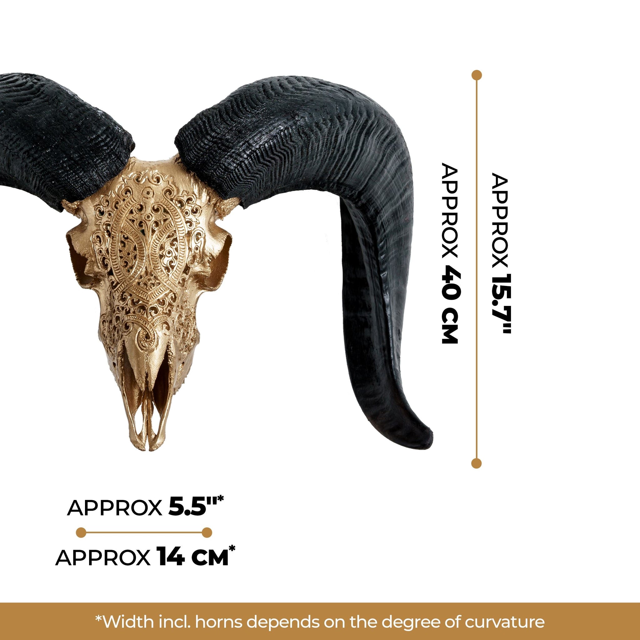 Hand Carved Ram Skull - Golden Phantom