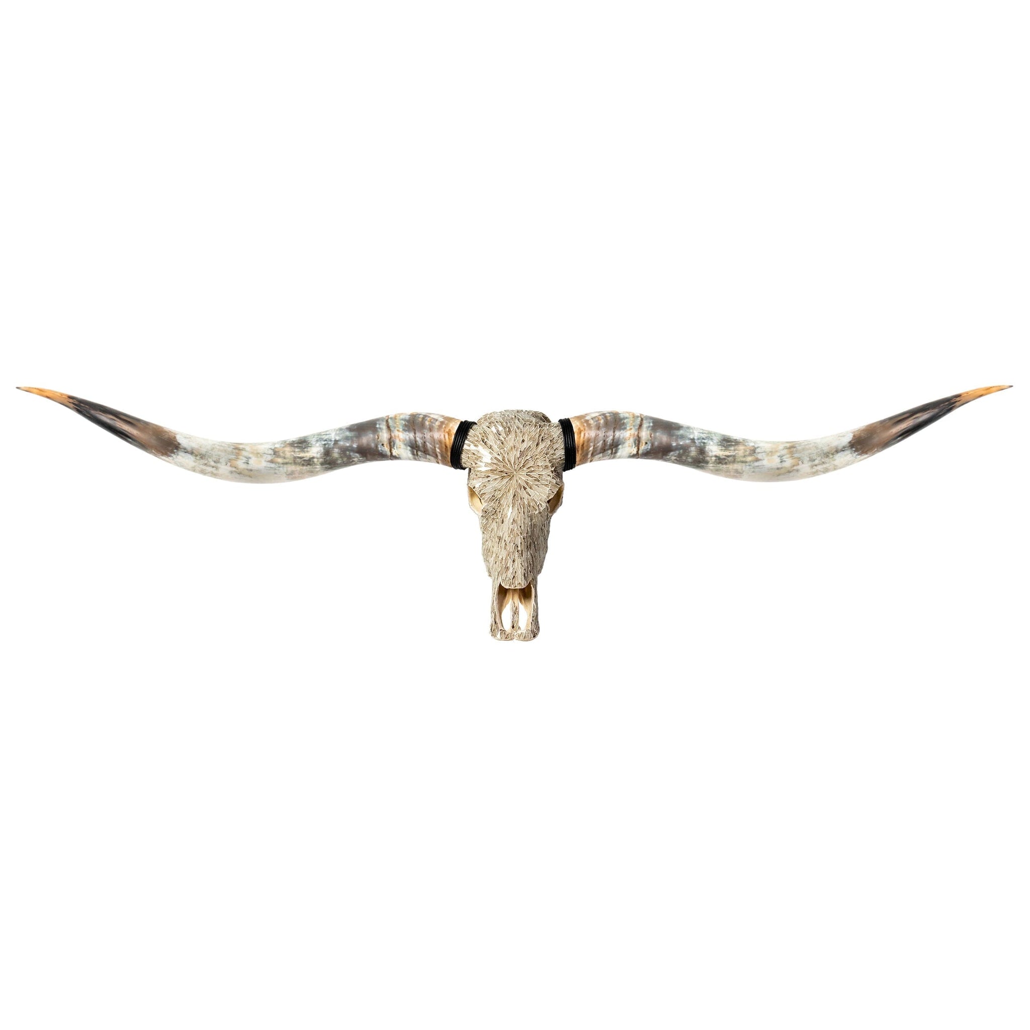 Longhorn Skull // XL Horns - Beige Mirror // Mosaic Finish