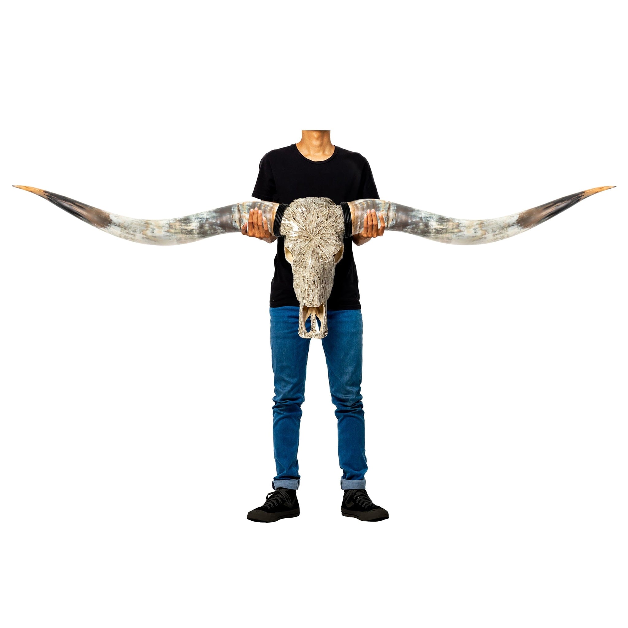 Longhorn Skull // XL Horns - Beige Mirror // Mosaic Finish