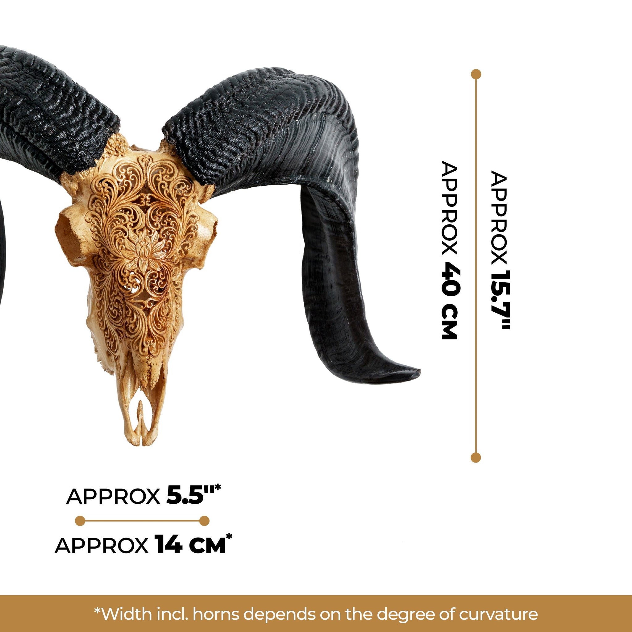 Hand Carved Ram Skull - Antique Lotus