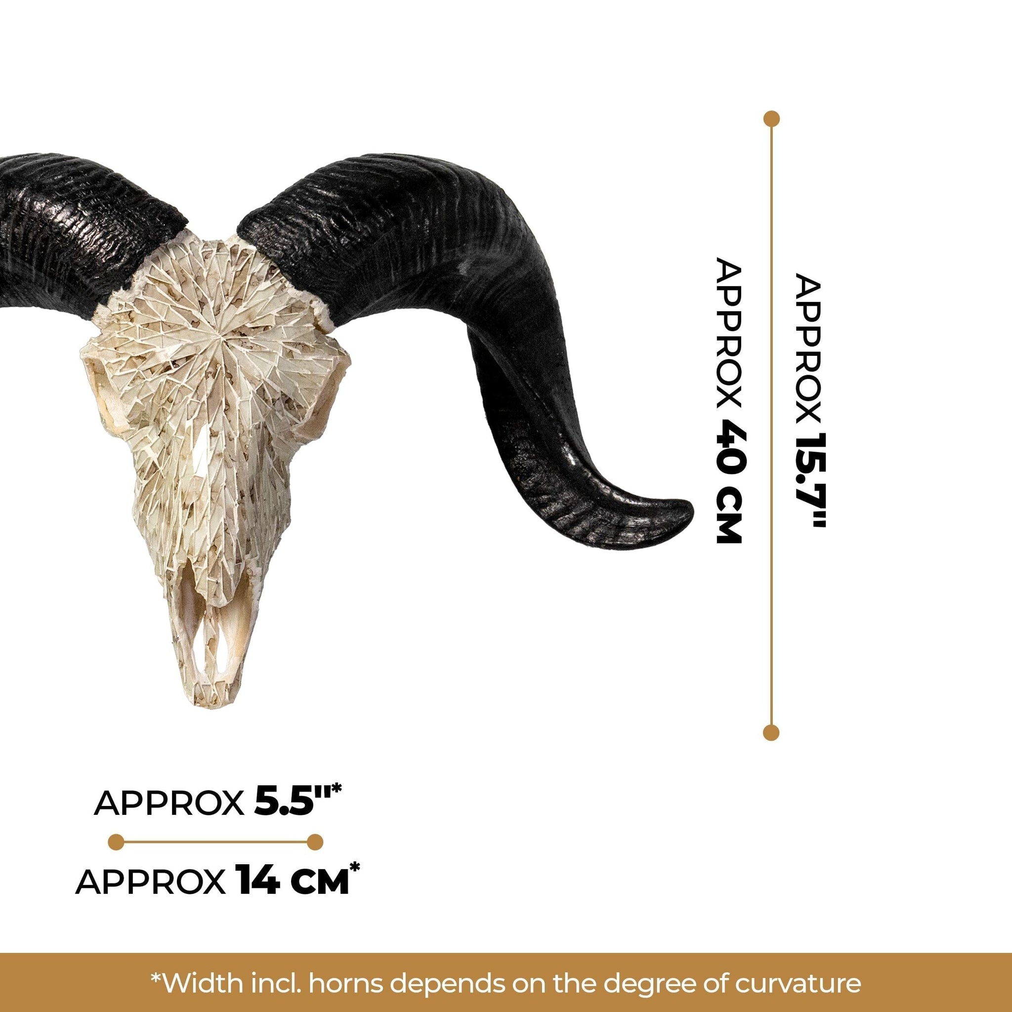 Ram Skull - Beige Mirror // Mosaic Finish