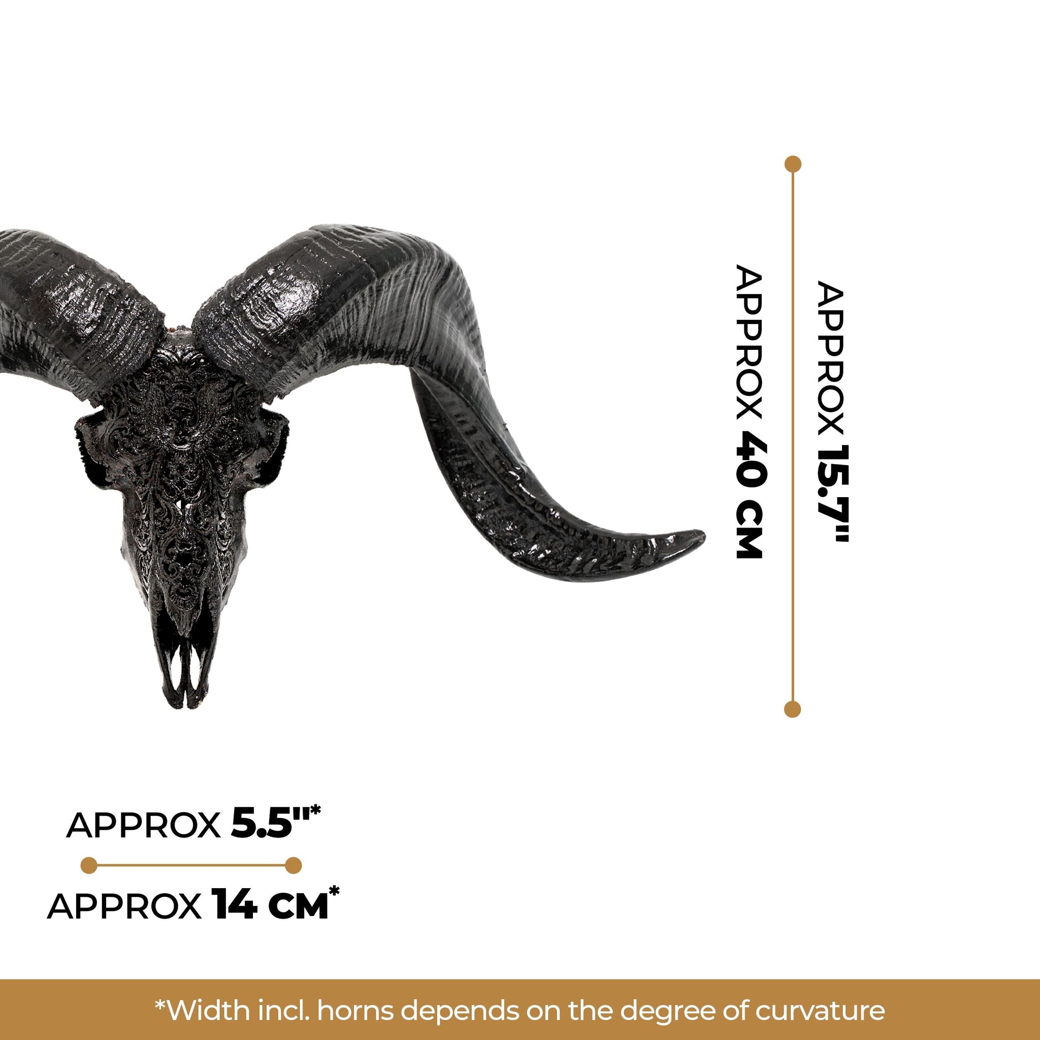 Hand Carved Ram Skull - Black Phoenix