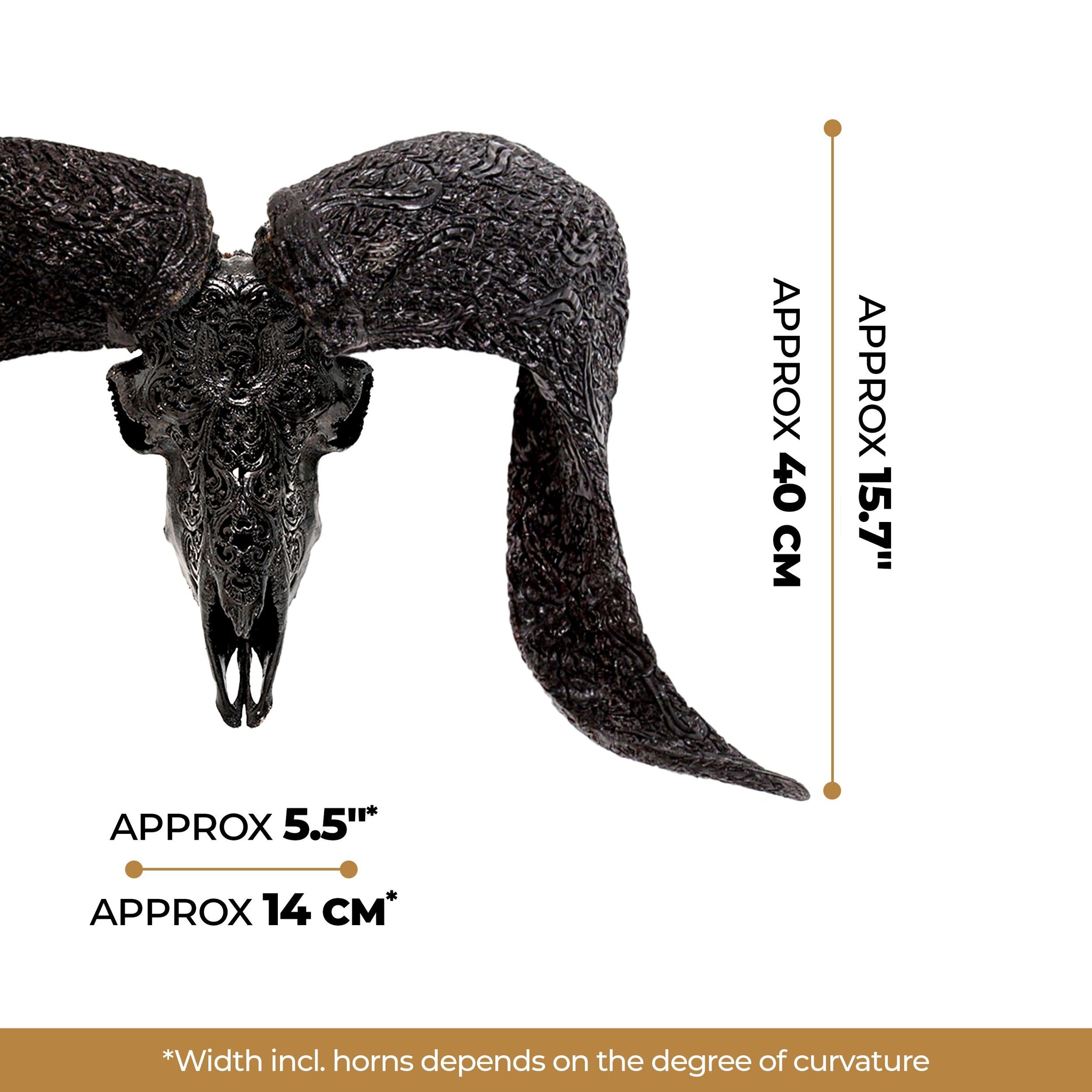 Hand Carved Ram Skull - Black Phoenix