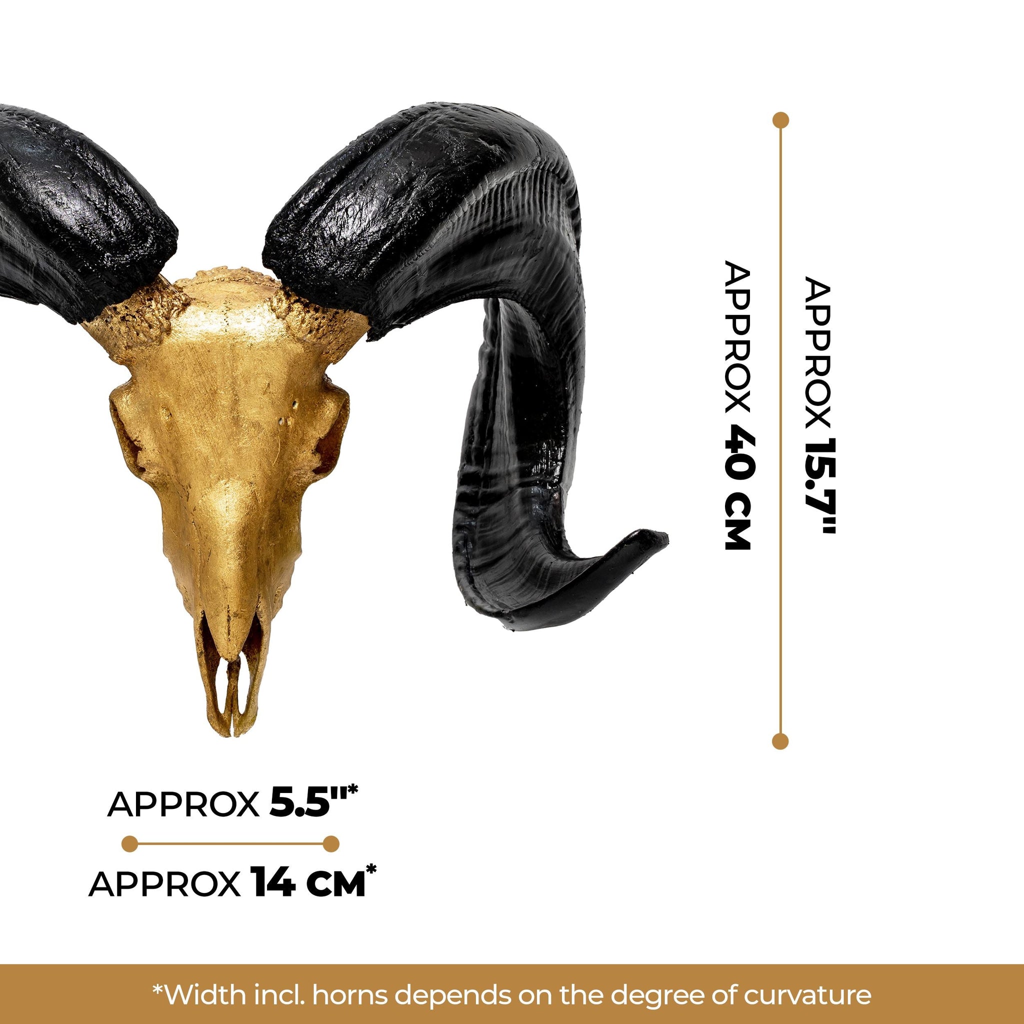 Ram Skull - Gold Leaf Storm