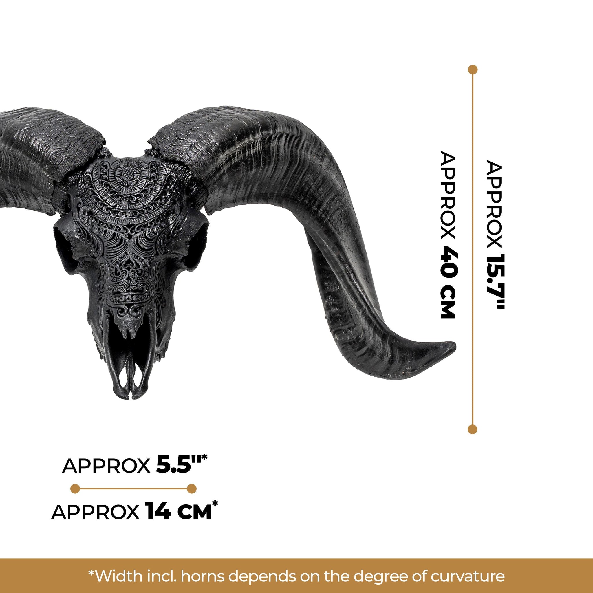 Hand Carved Ram Skull - Matte Black Boho