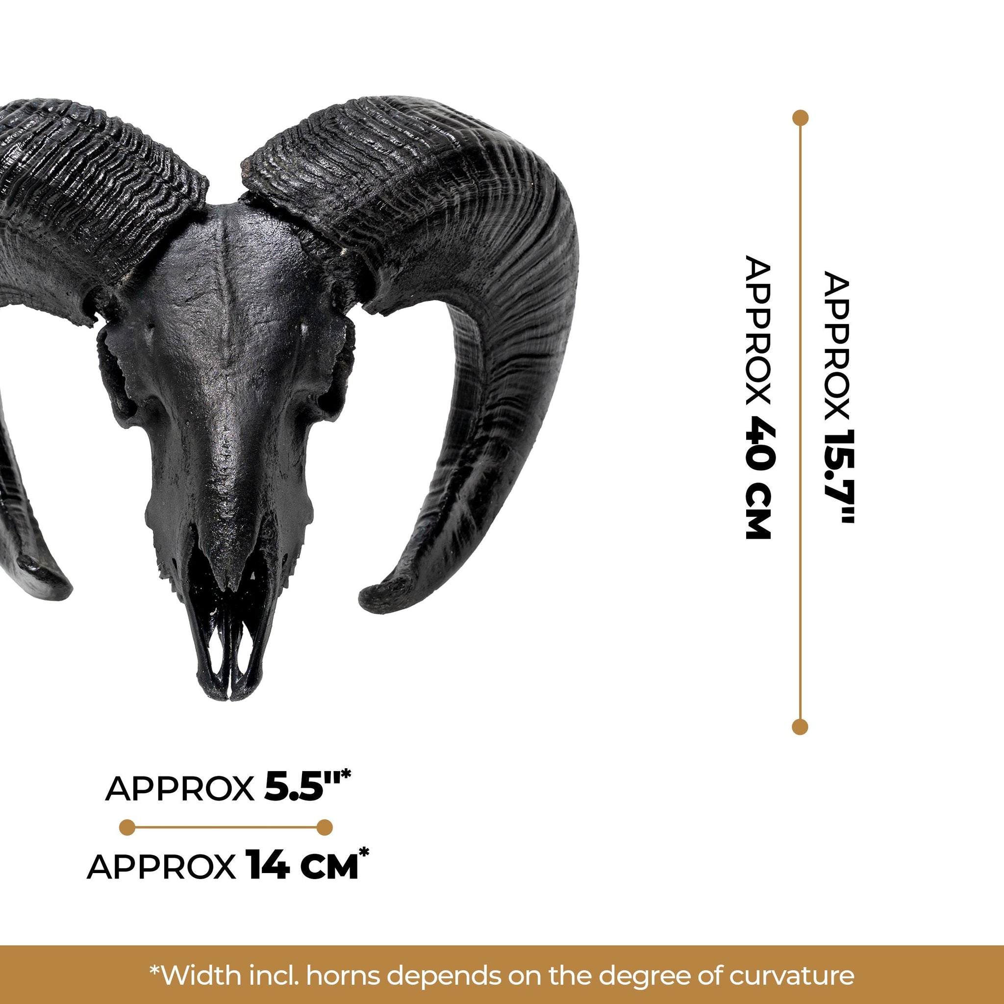 Ram Skull - Matte Black Storm