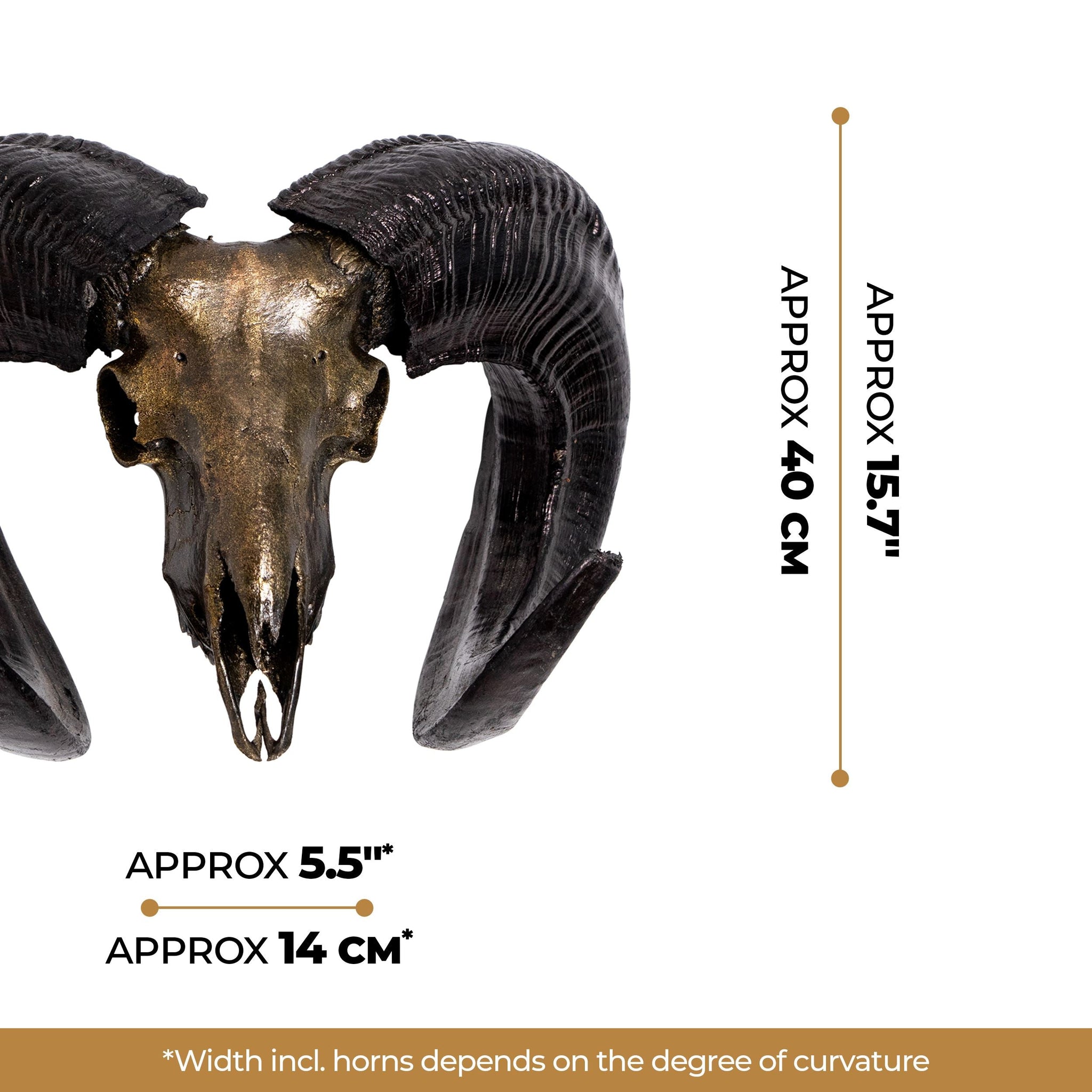Ram Skull - Antique Bronze Storm // Metallic Finish