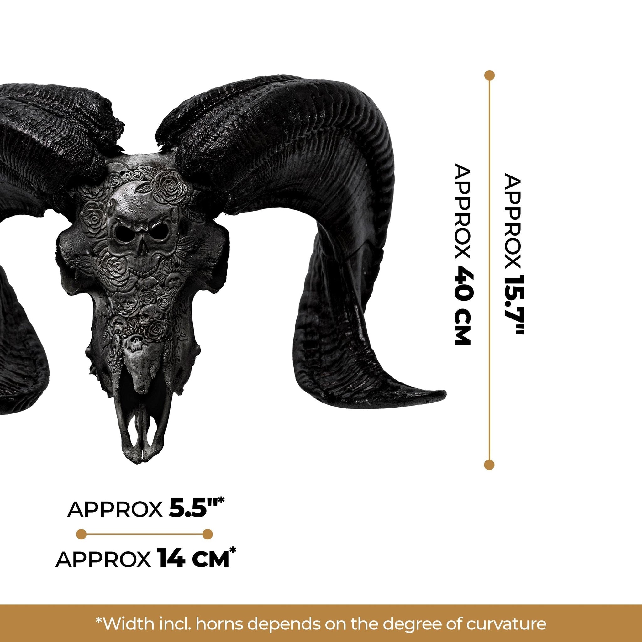 Hand Carved Ram Skull - Black Thorn