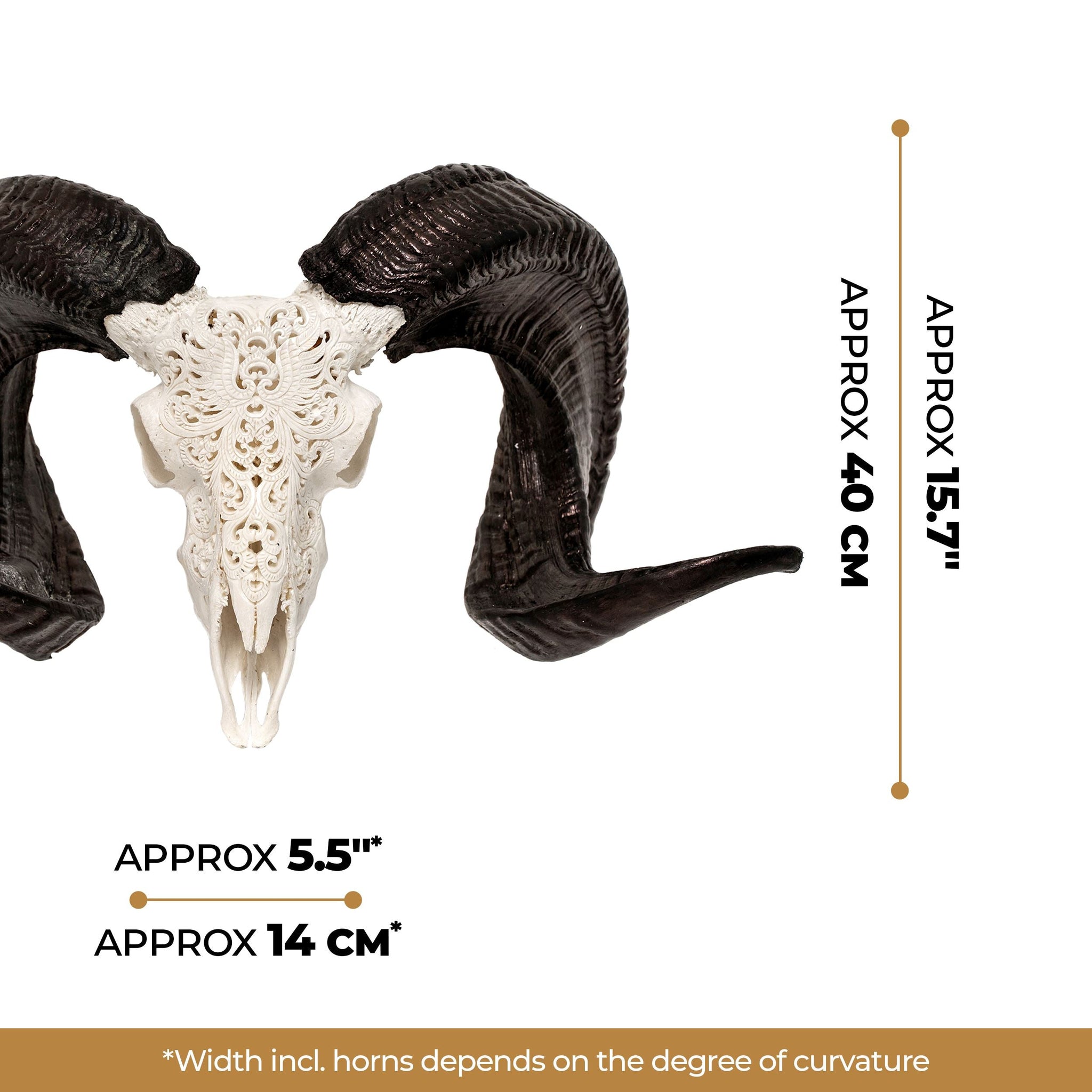 Hand Carved Ram Skull - White Phoenix