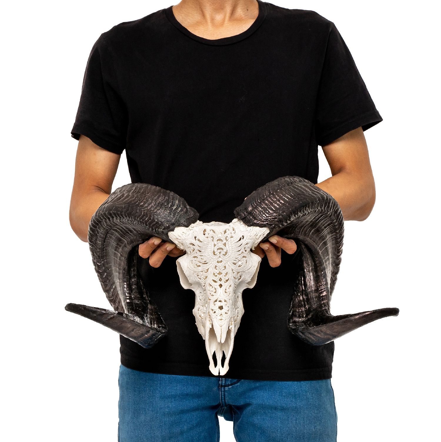 Hand Carved Ram Skull - White Phoenix