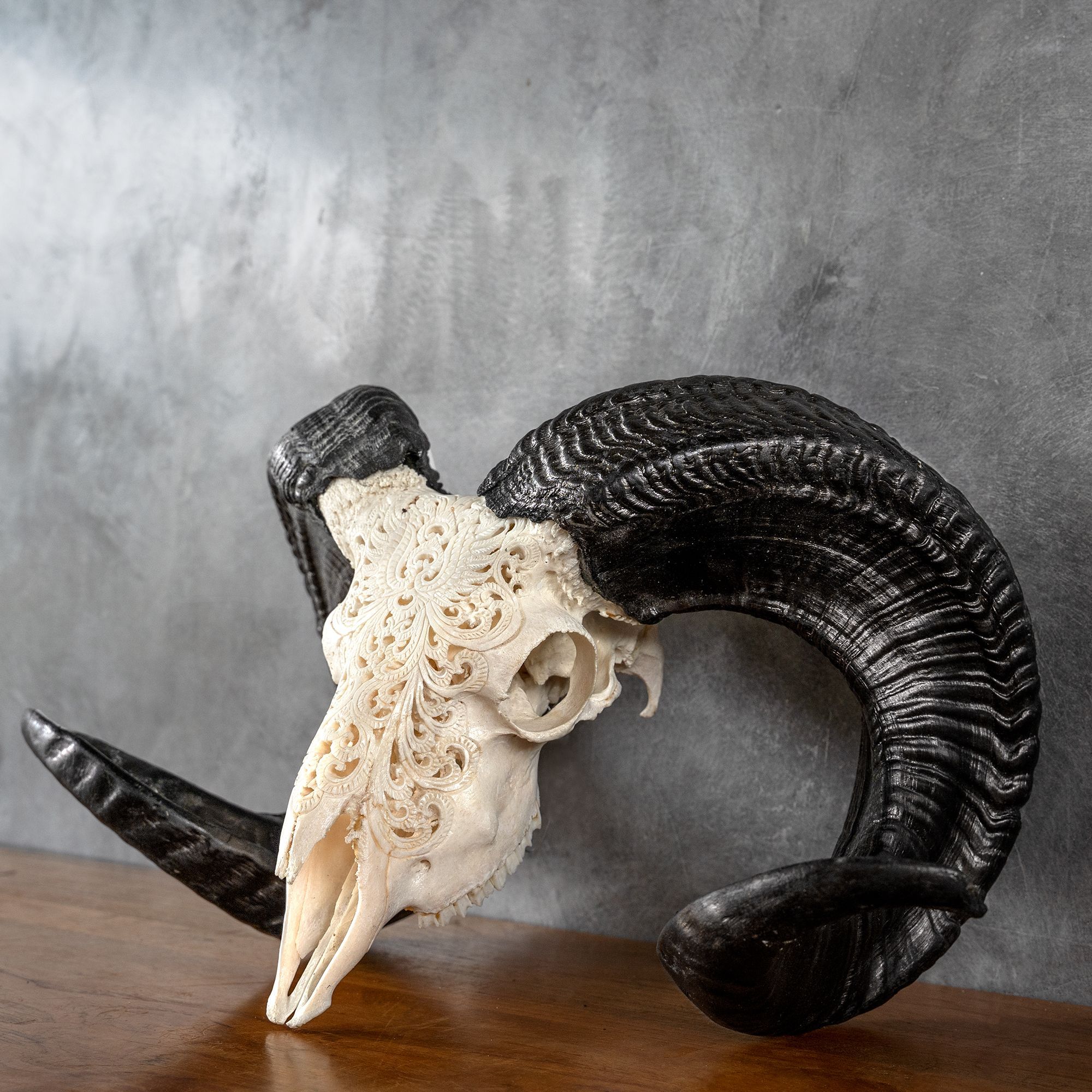 Hand Carved Ram Skull - White Phoenix