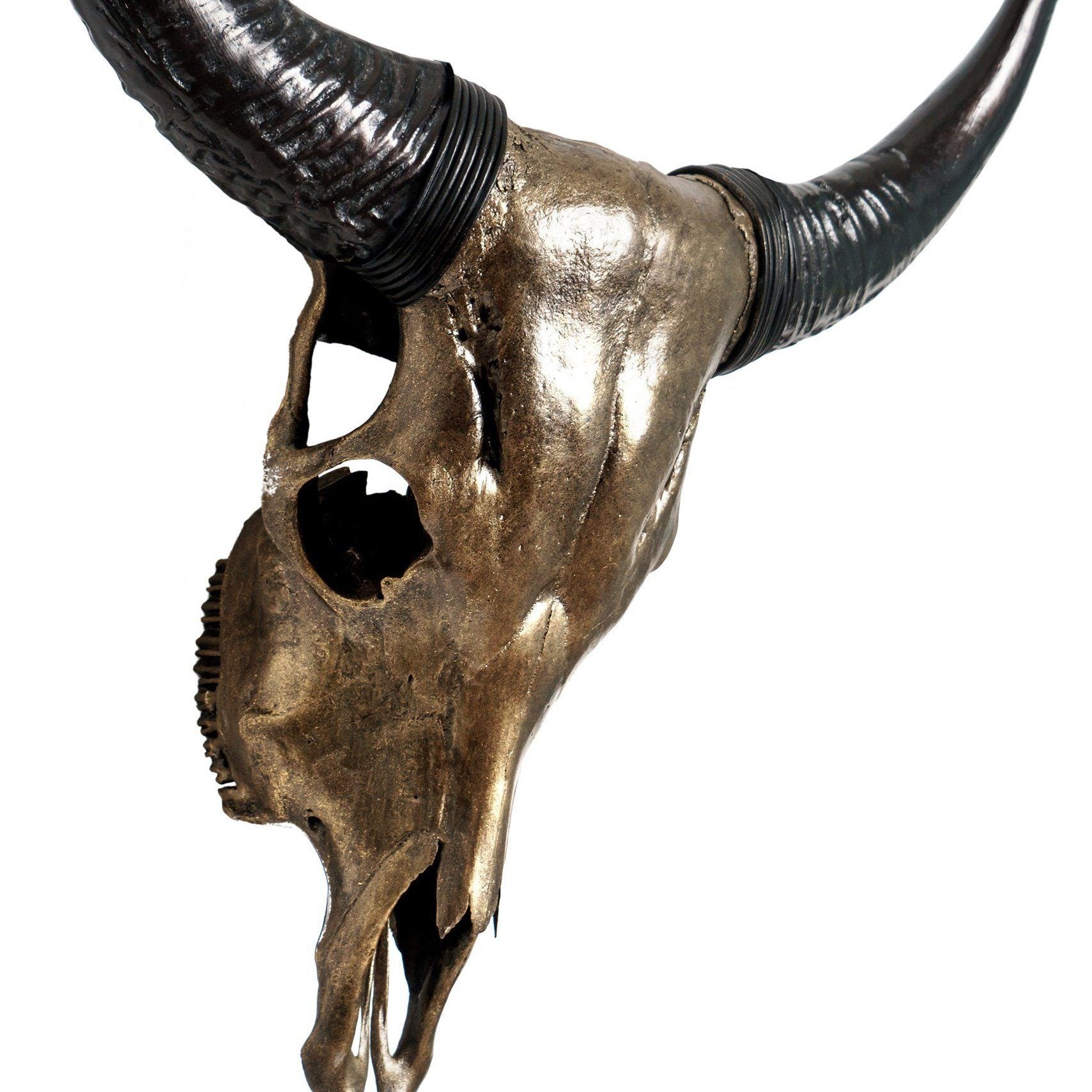 Cow Skull - Antique Bronze Storm // Metallic Finish