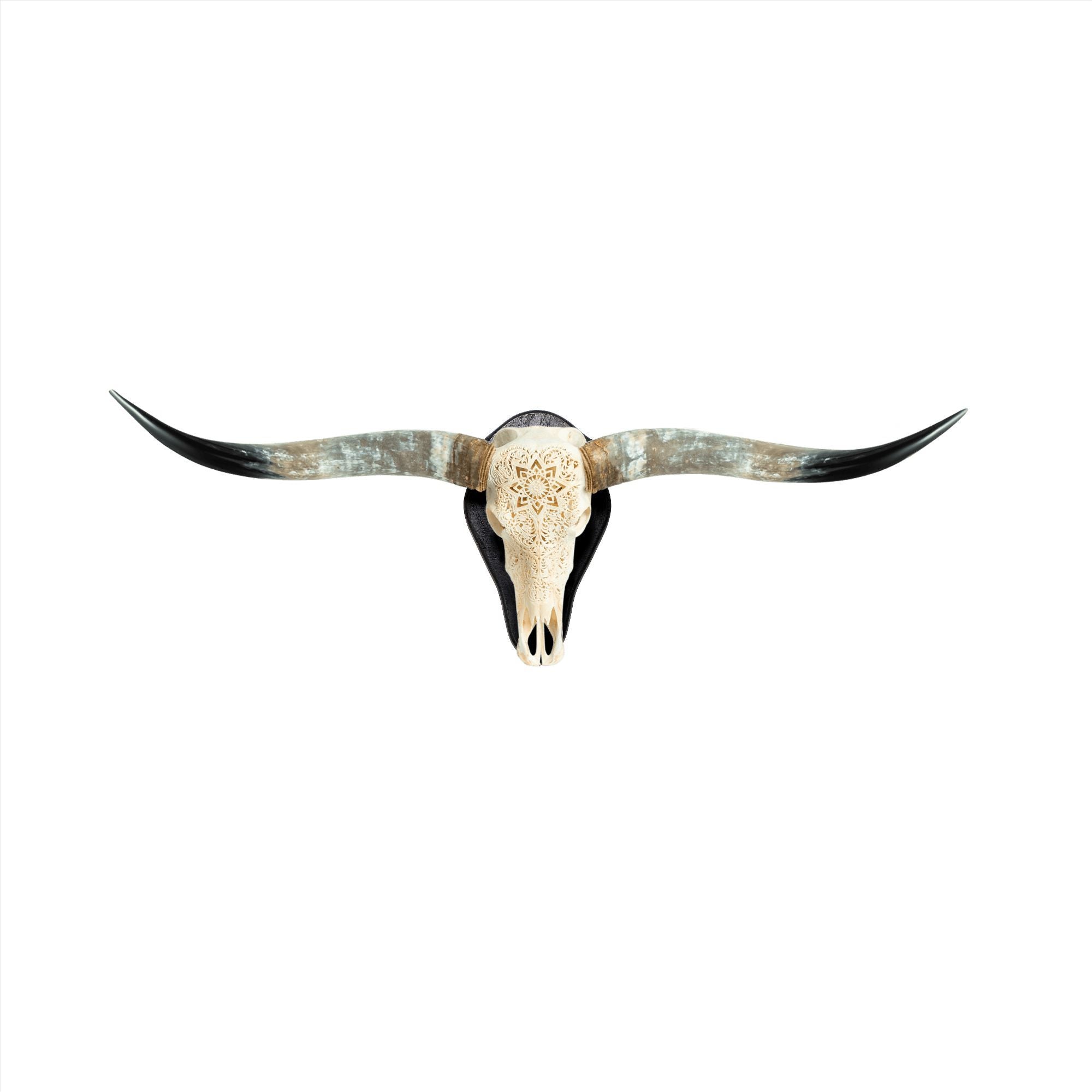 Longhorn Skulls - Wood Wall Mount