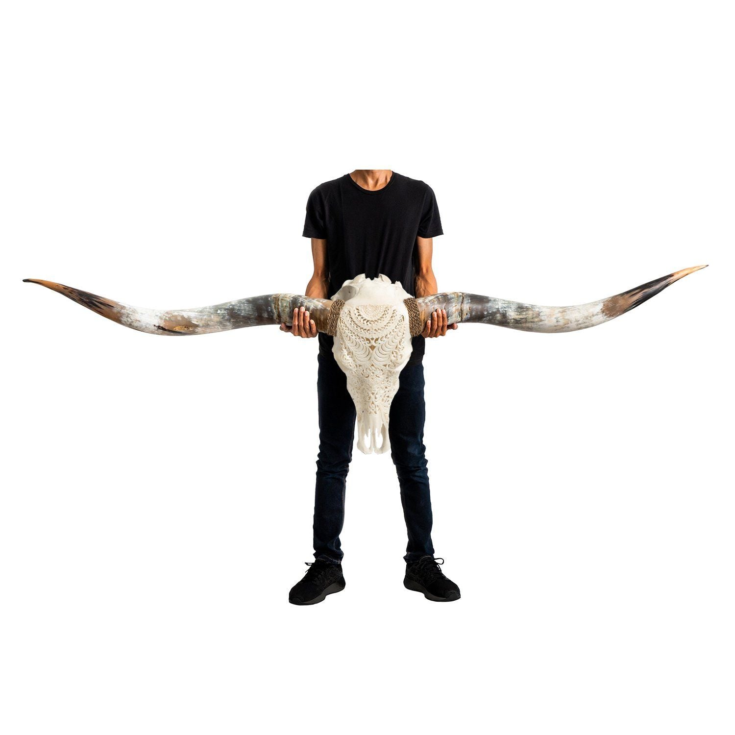 Hand Carved Longhorn Skull // XL Horns - White Boho