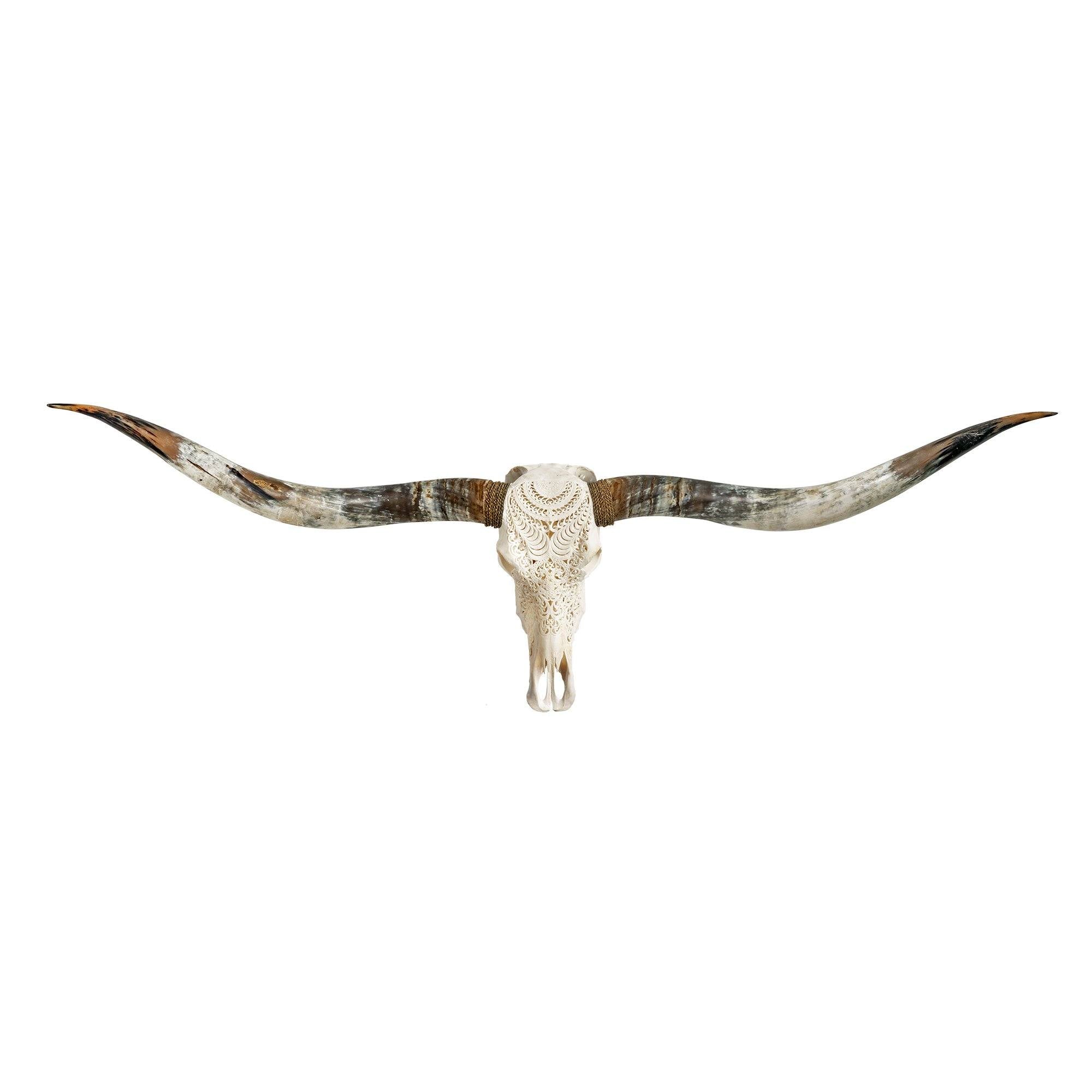Hand Carved Longhorn Skull // XL Horns - White Boho