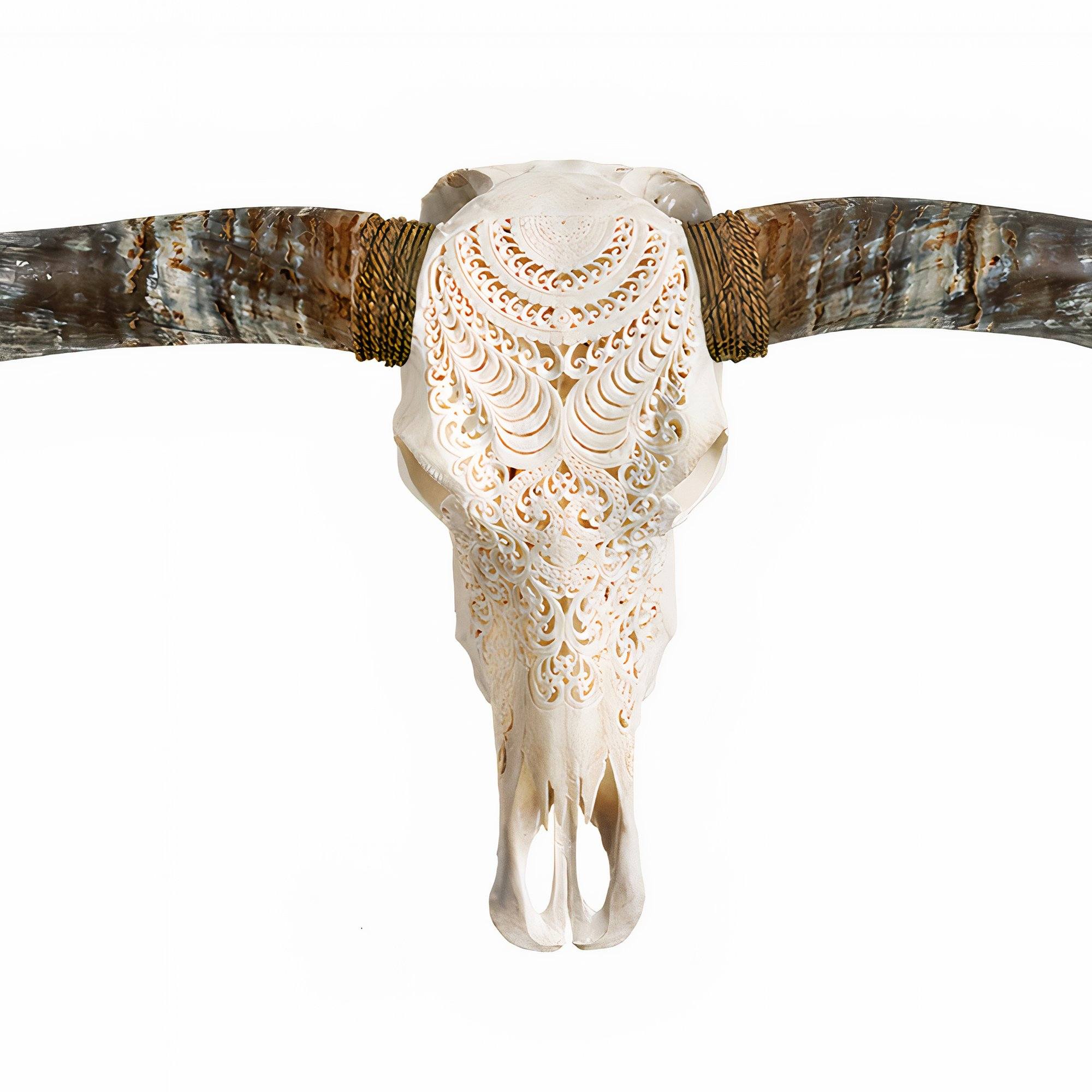 Hand Carved Longhorn Skull // XL Horns - White Boho