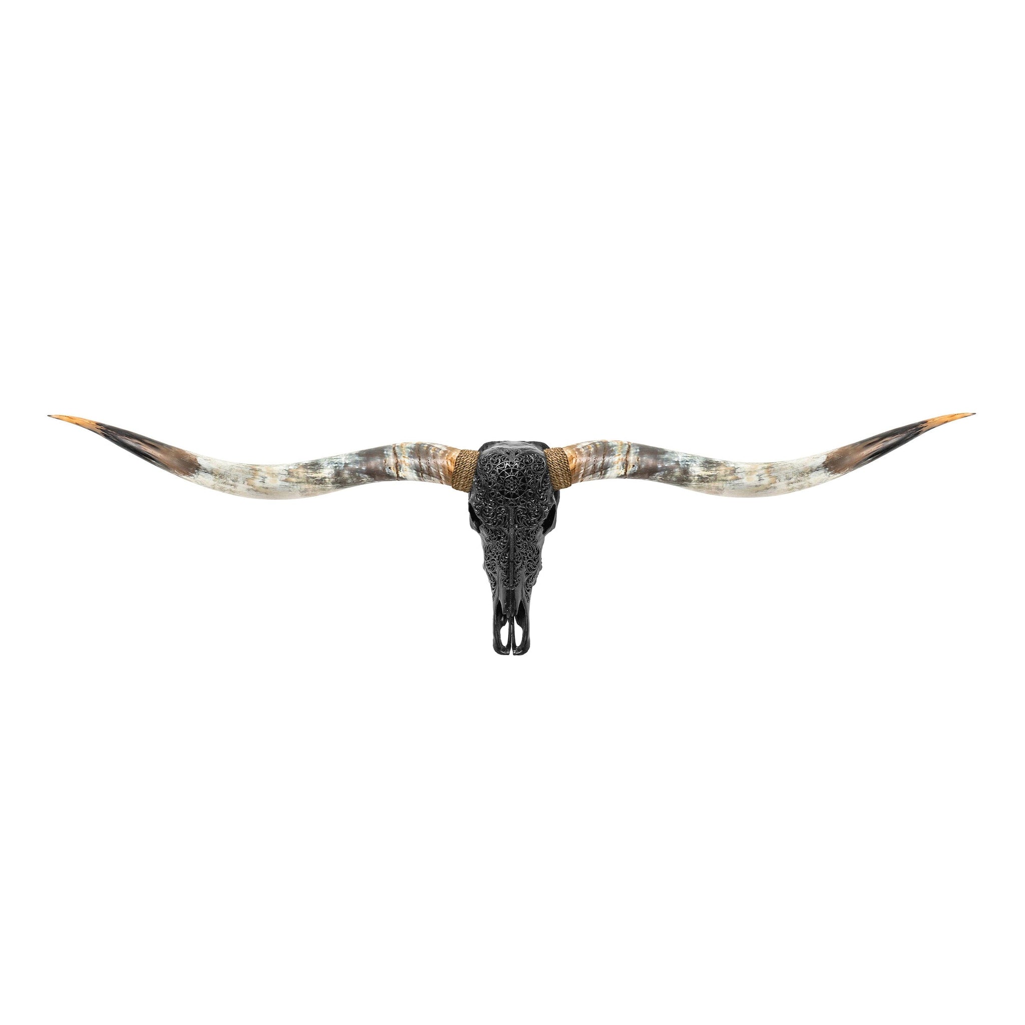 Hand Carved Longhorn Skull // XL Horns - Black Sun