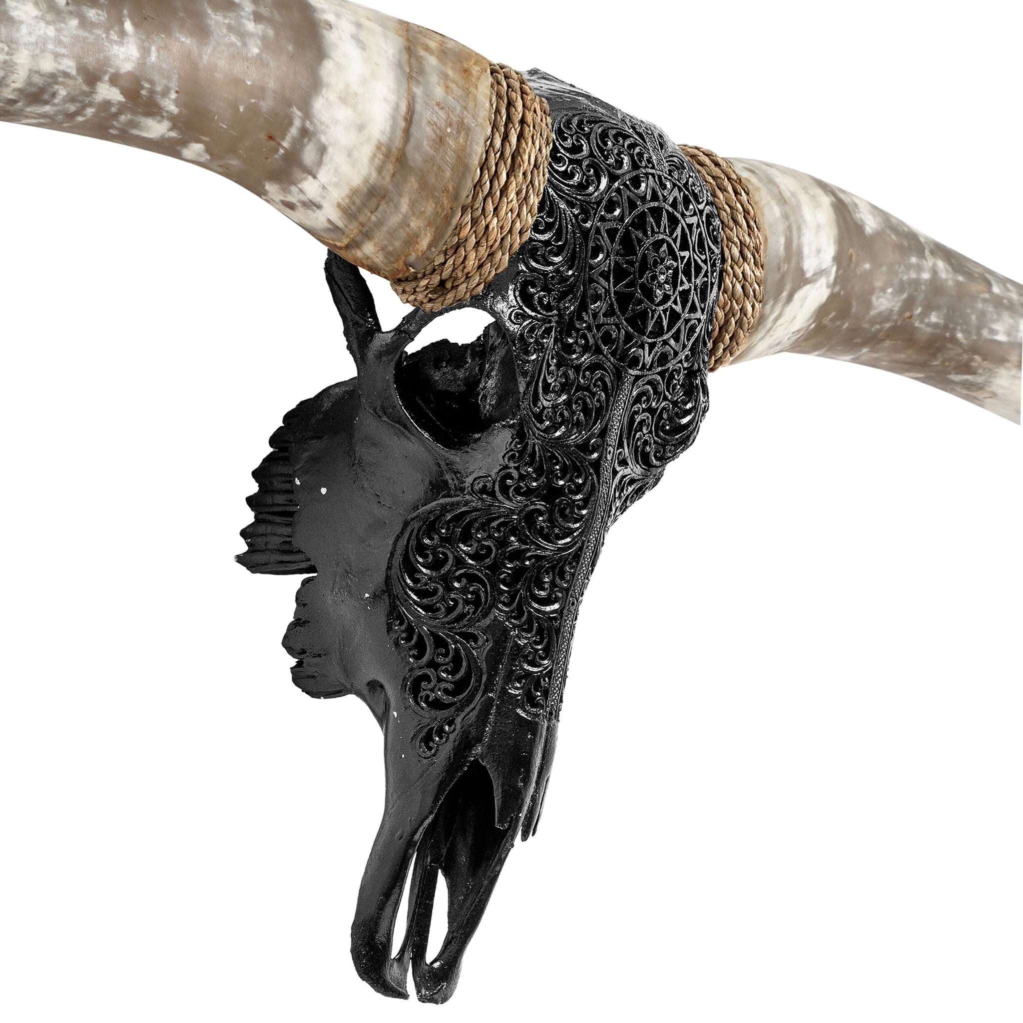 Hand Carved Longhorn Skull // XL Horns - Black Sun