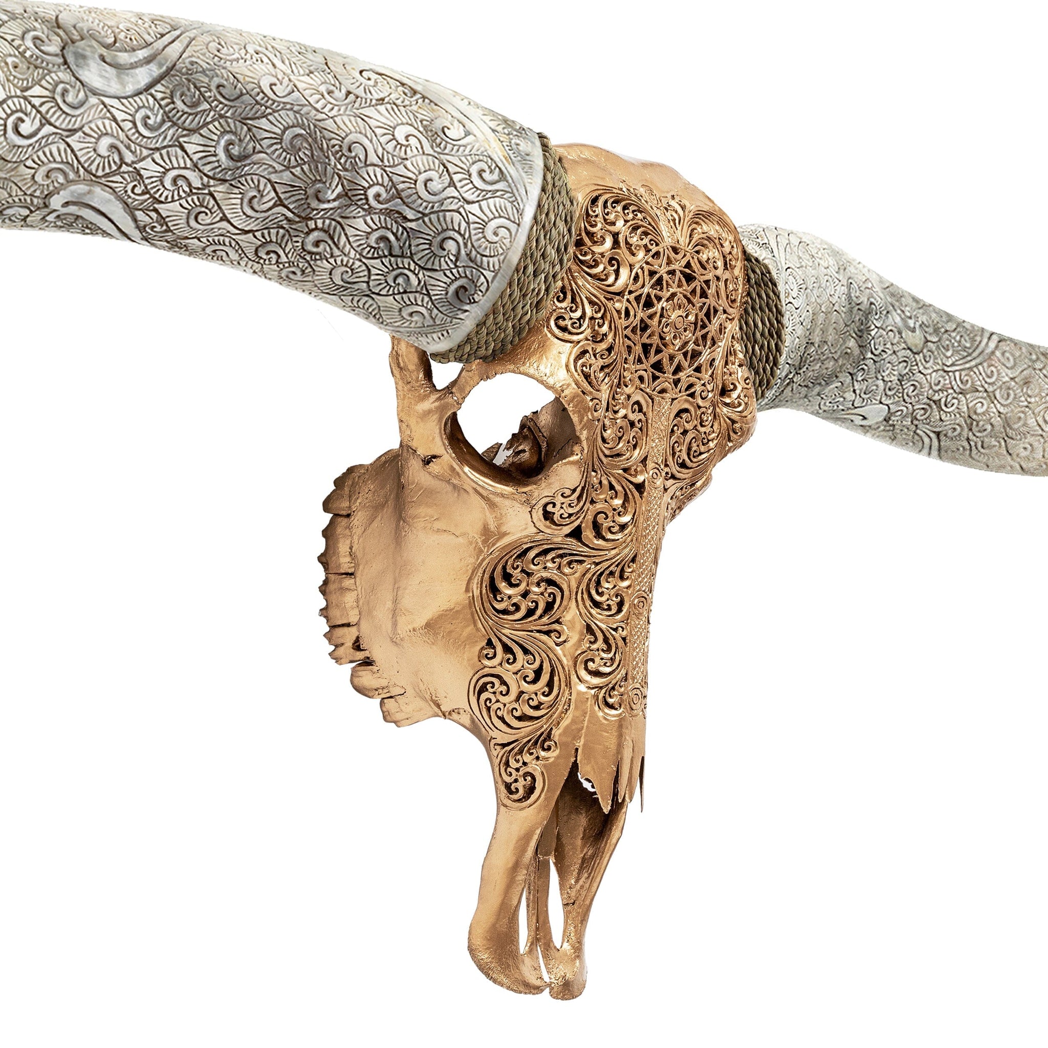 Hand Carved Longhorn Skull // XL Horns - Golden Sun