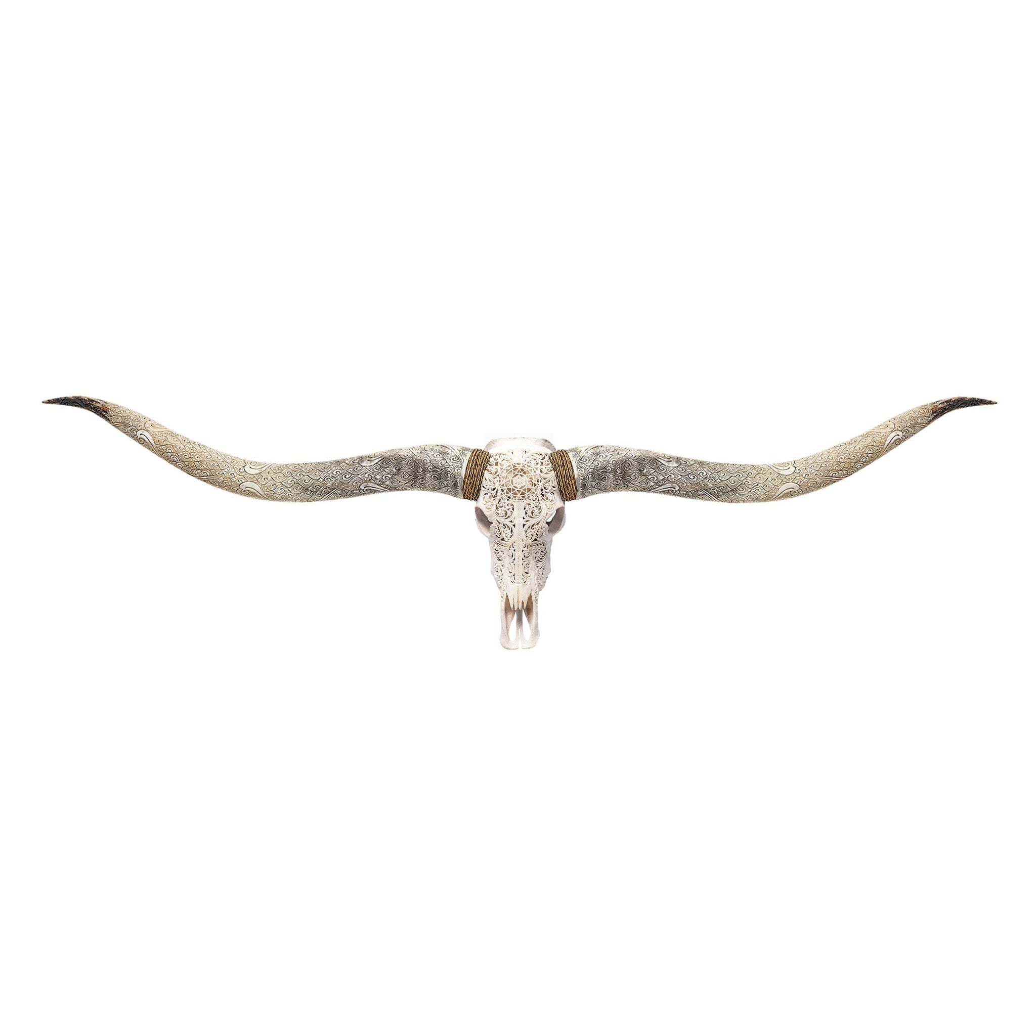 Hand Carved Longhorn Skull // XL Horns - White Sun