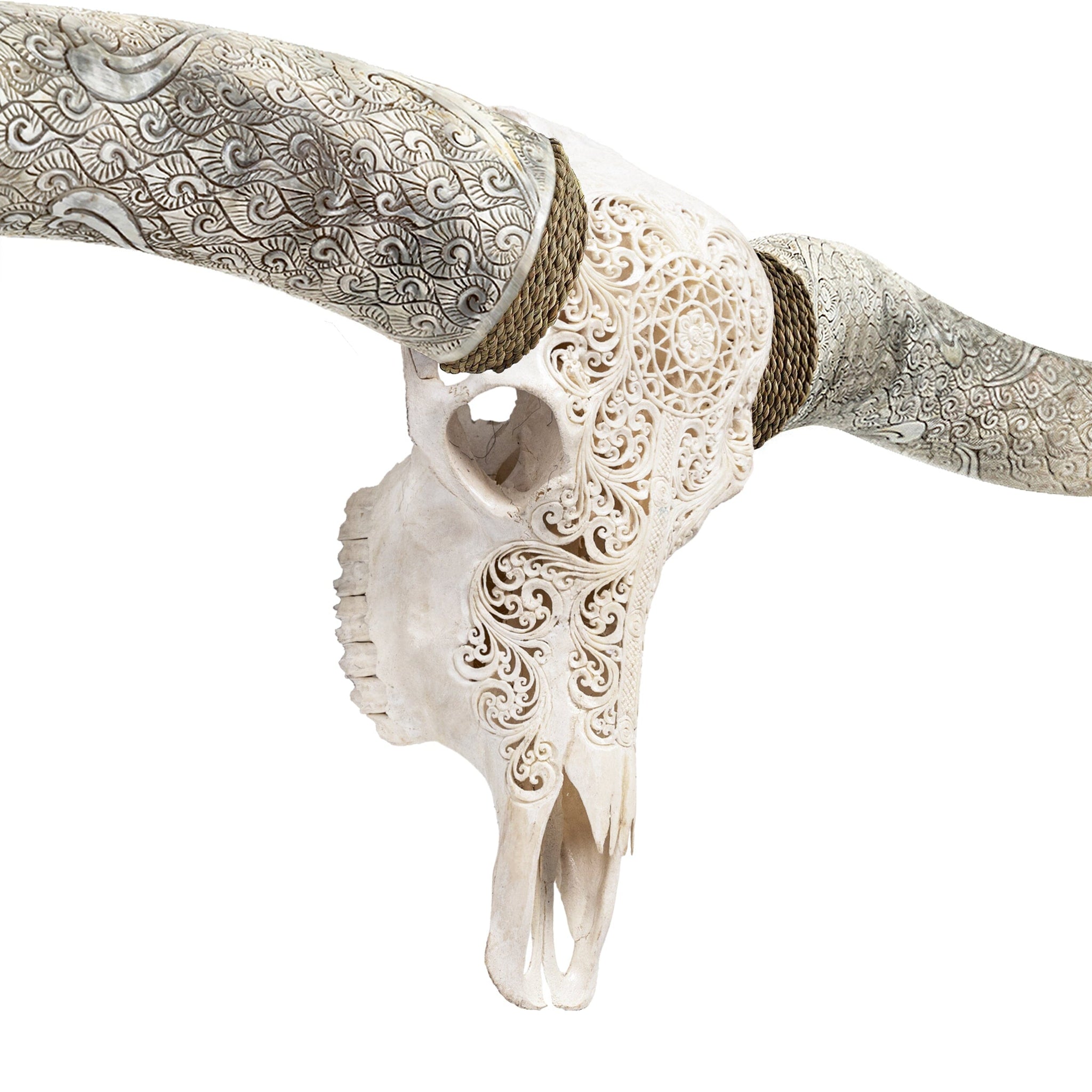 Hand Carved Longhorn Skull // XL Horns - White Sun