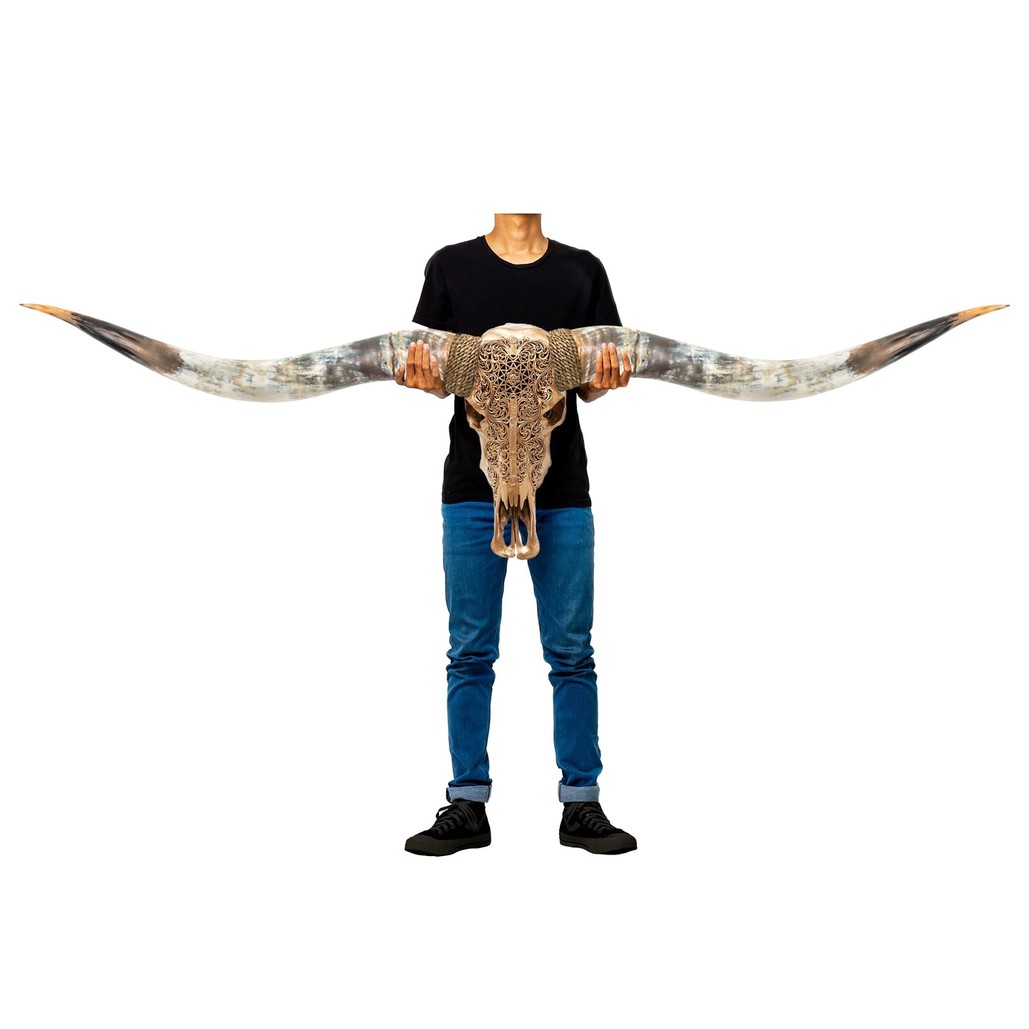 Hand Carved Longhorn Skull // XL Horns - Golden Sun