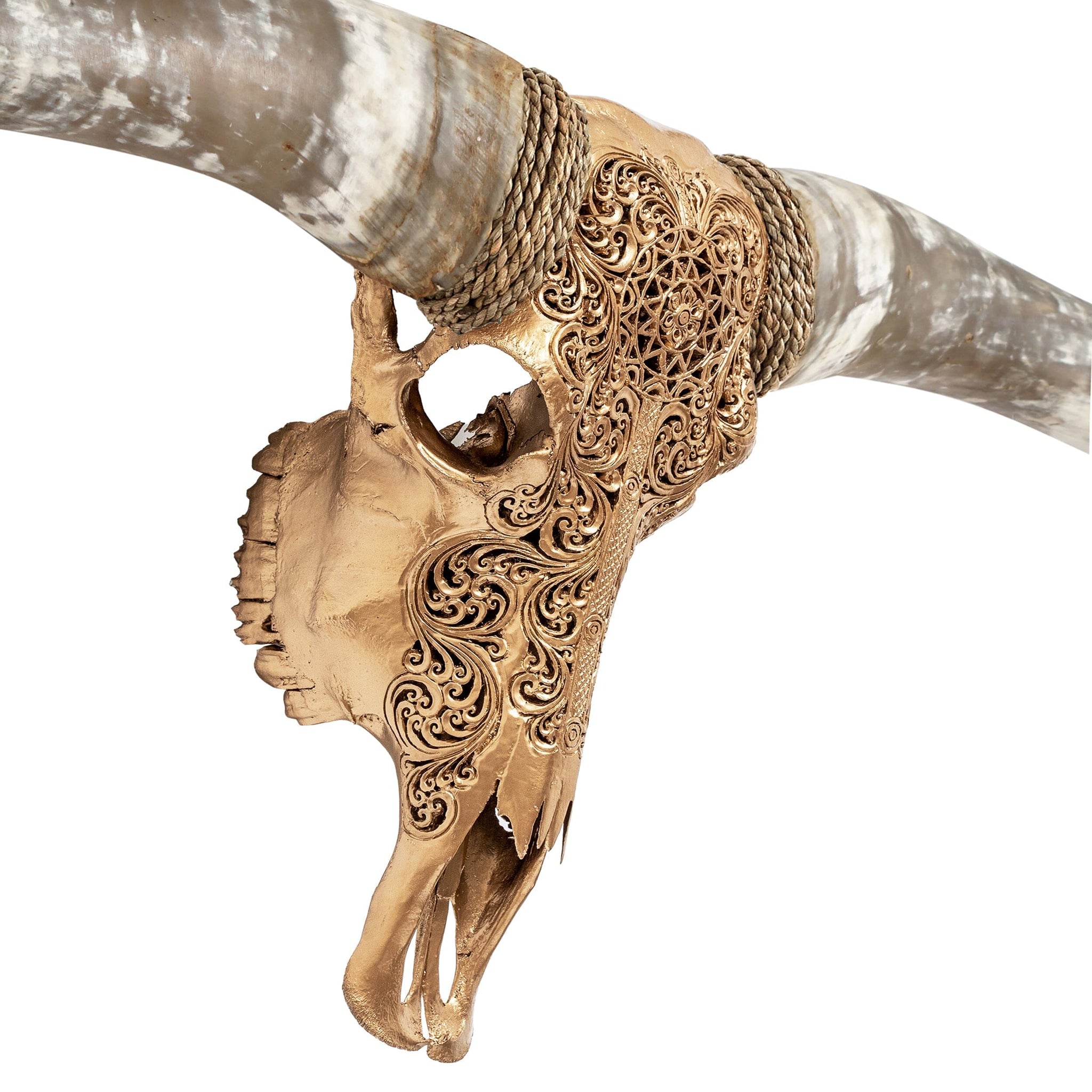 Hand Carved Longhorn Skull // XL Horns - Golden Sun