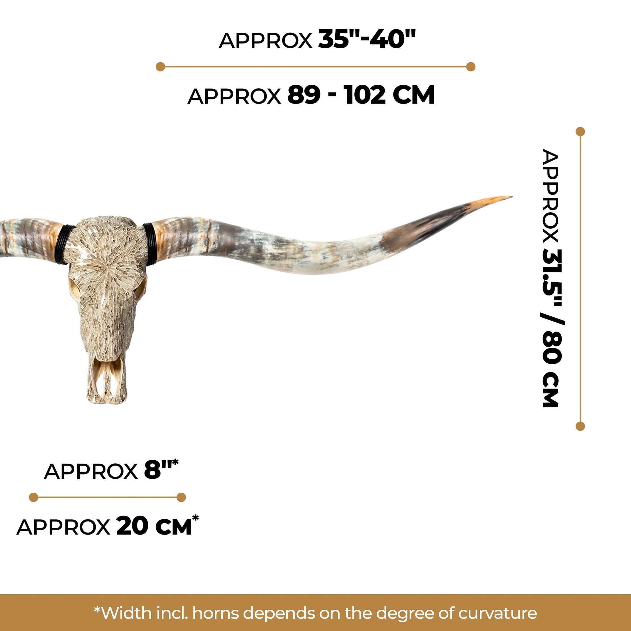 Longhorn Skull // XL Horns - Beige Mirror // Mosaic Finish