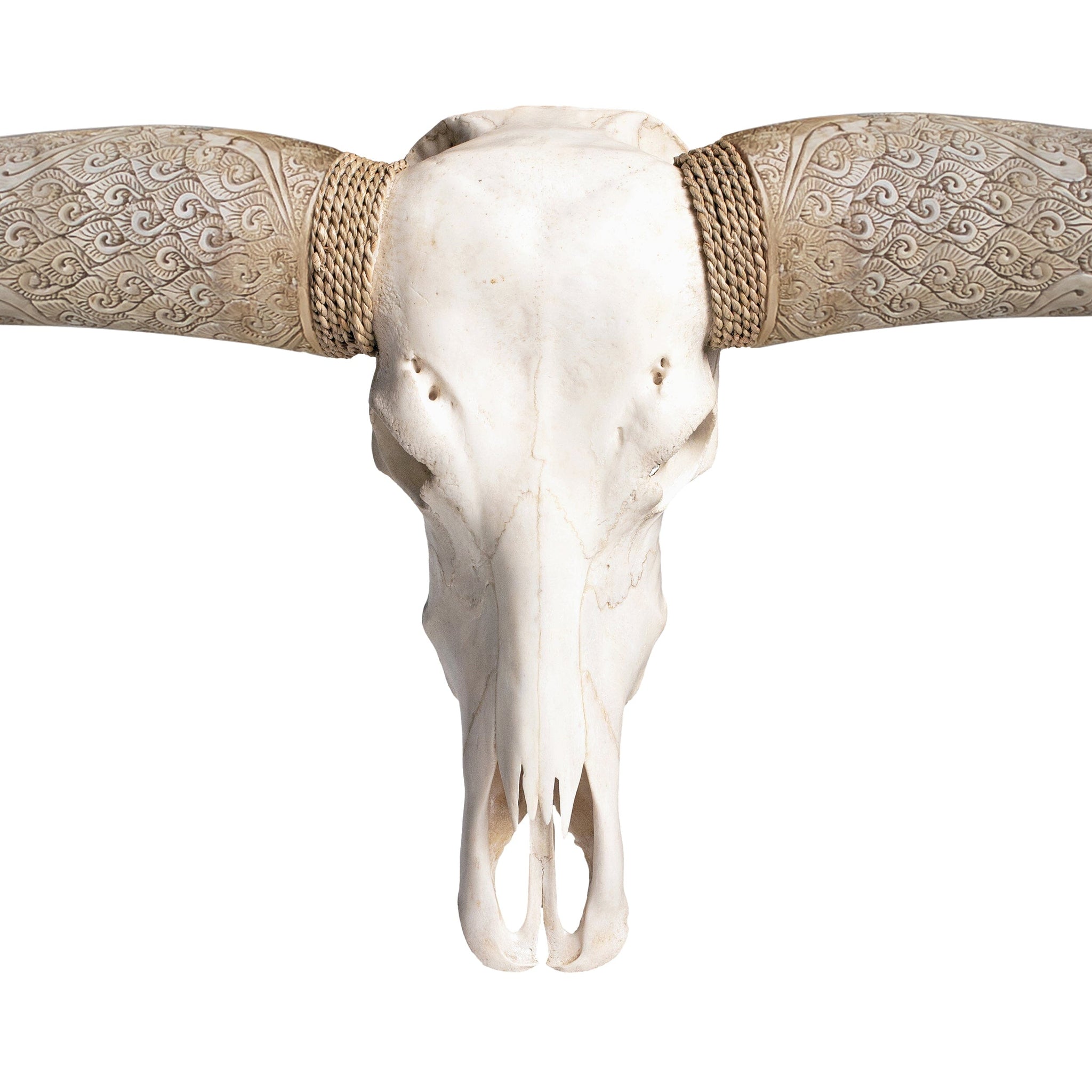 Longhorn Skull // XL Horns - White Storm